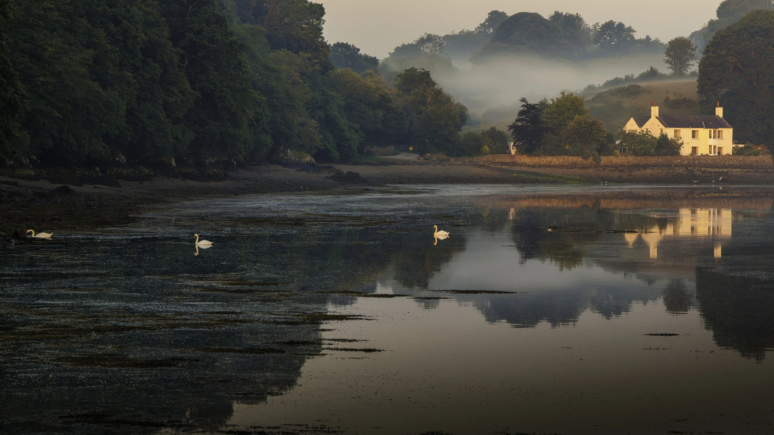 R7FA6445-Edit.jpg