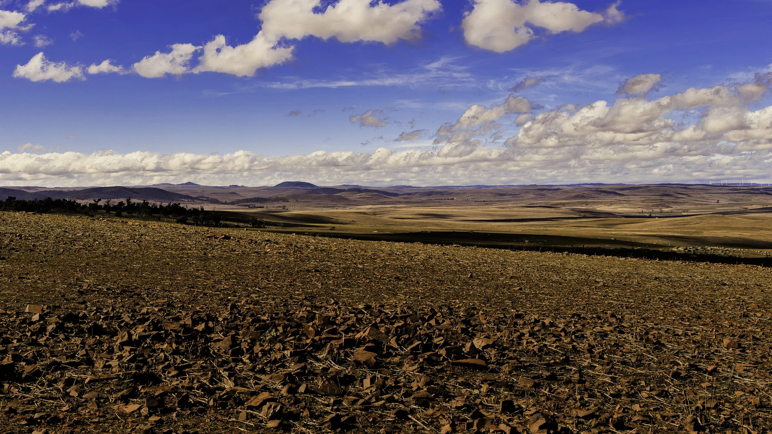 863A9249-Edit.jpg