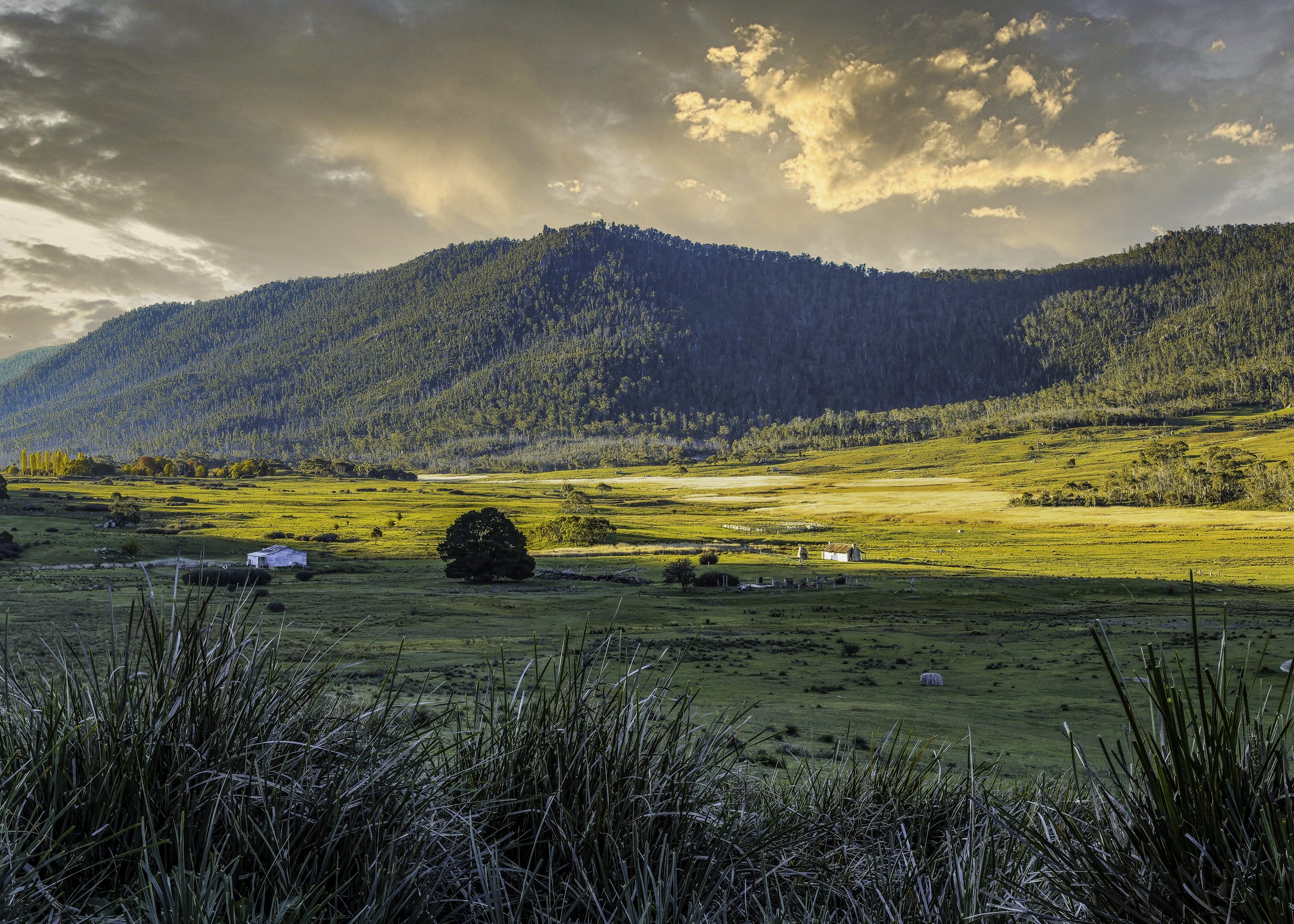 R7FA4127-Edit-Edit.jpg
