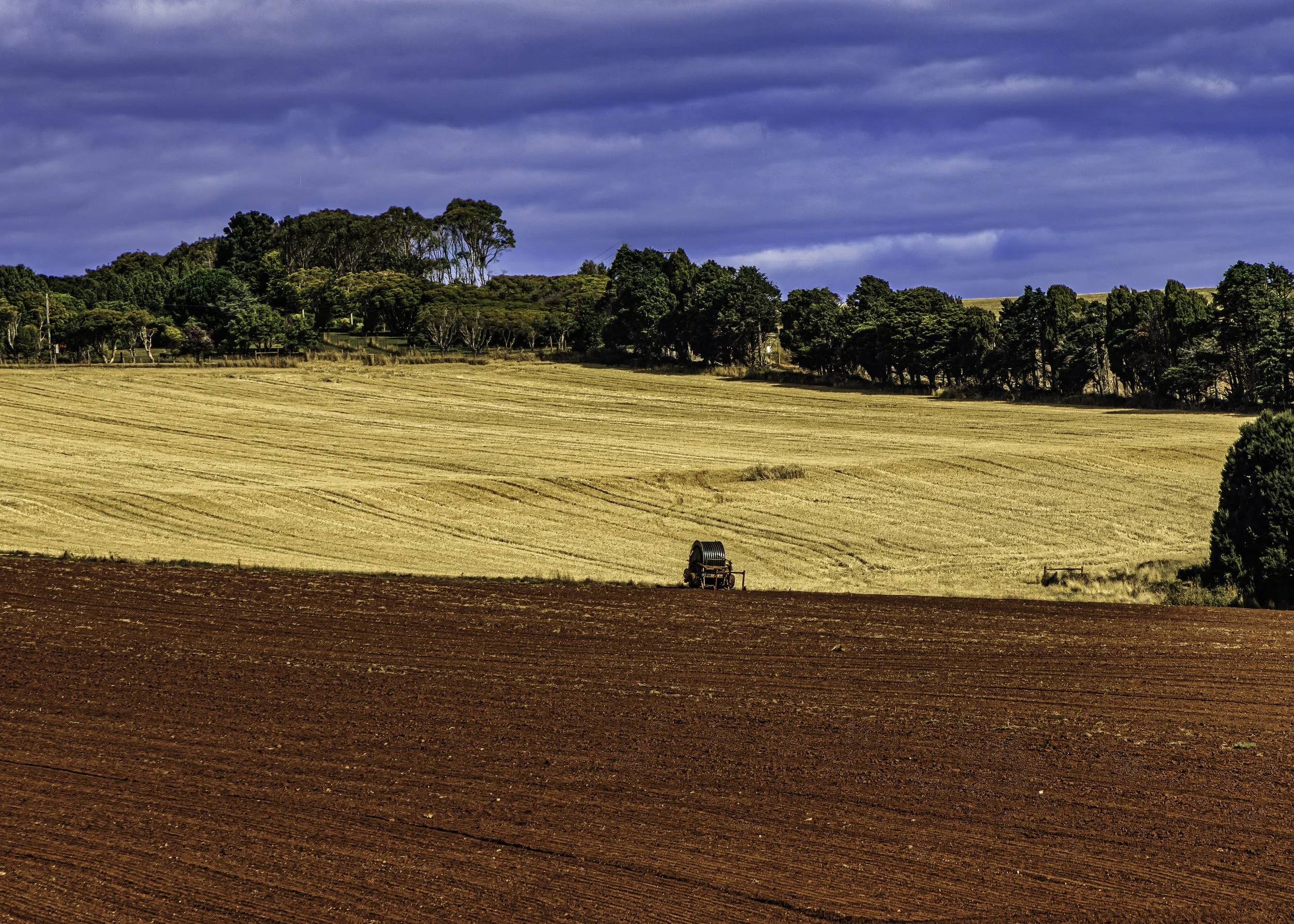 R7FA3009-Edit.jpg