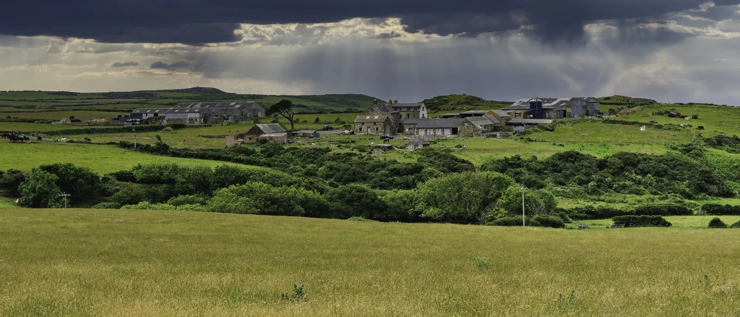 R7FA6008-Edit.jpg