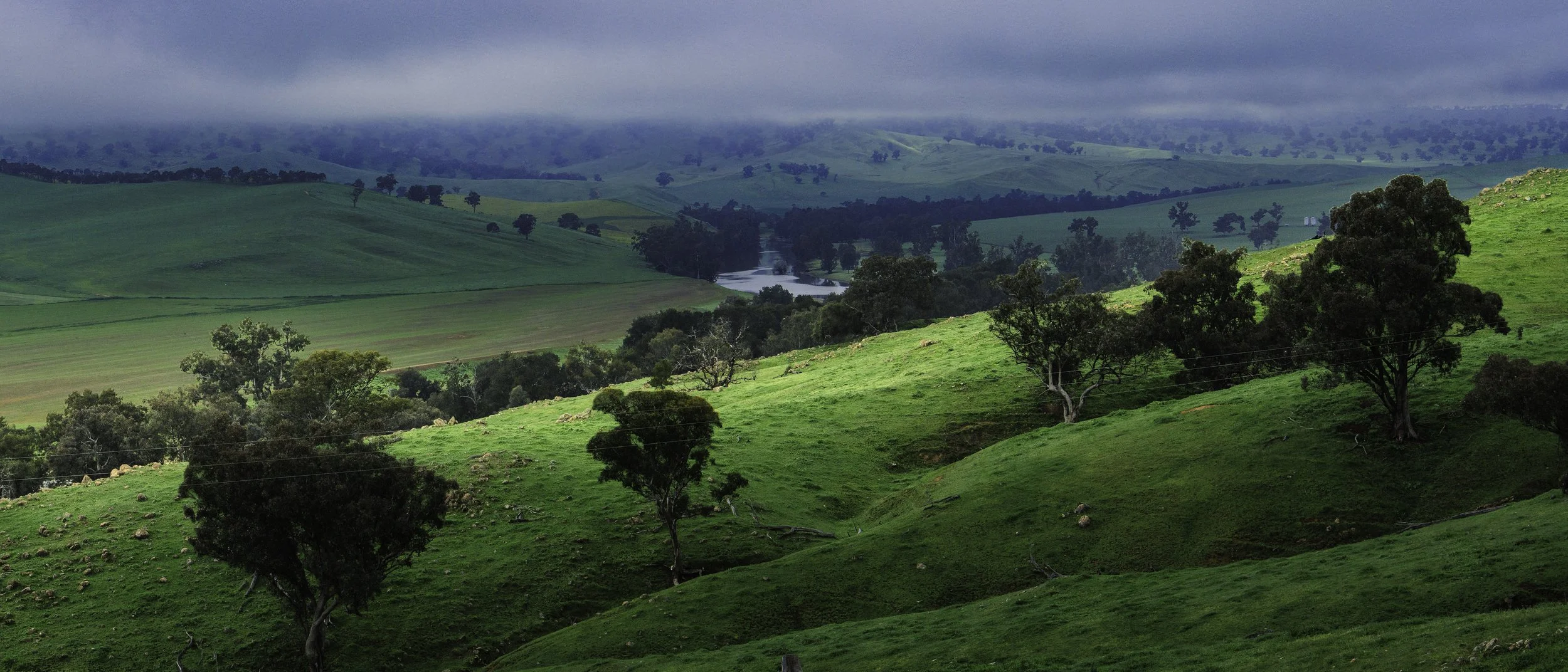 Rolling green hills with scattered trees and a river in the distance under a cloudy, overcast sky.