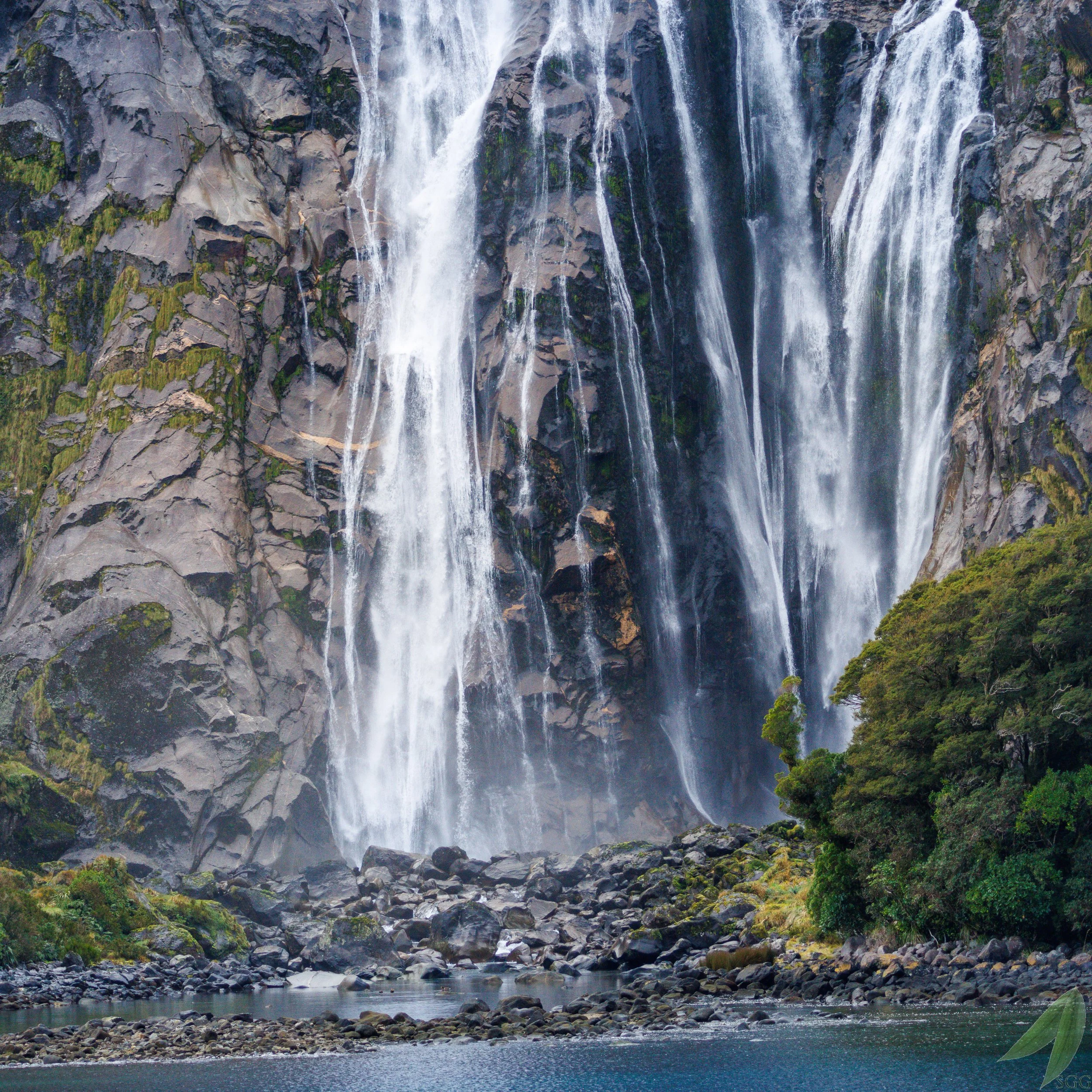 Milford 2024-6746.jpg