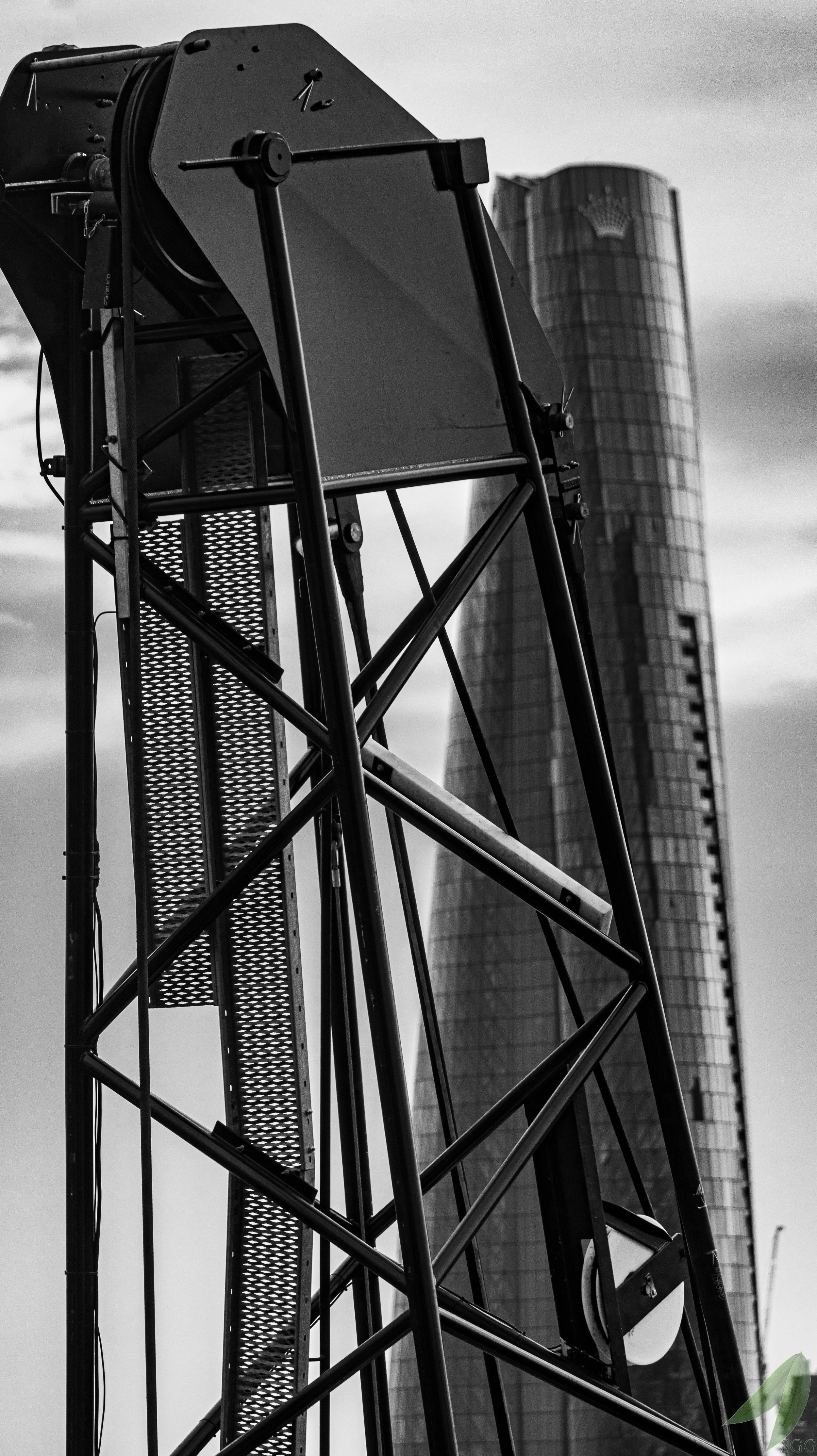 Raising the New Sydney