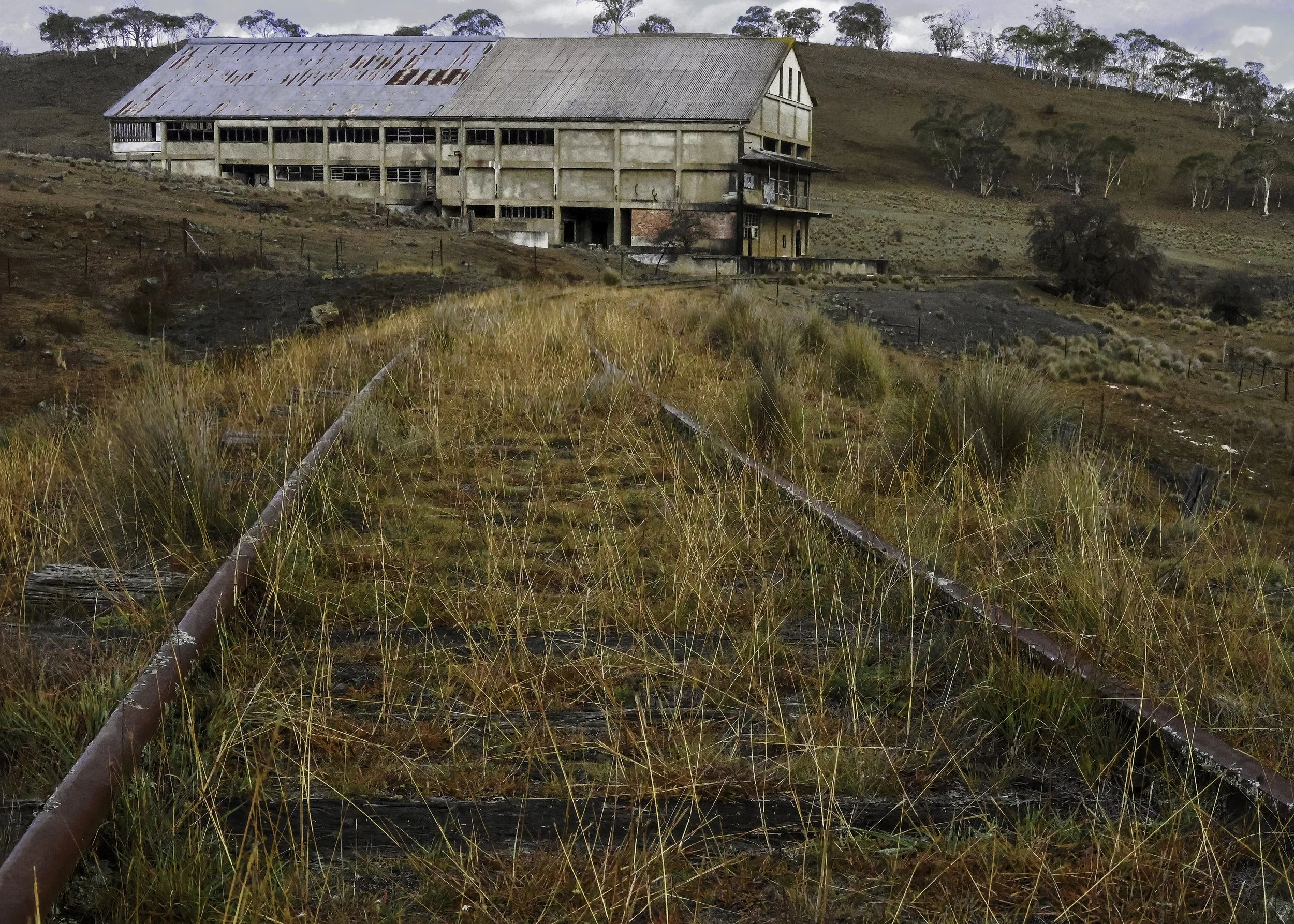 Old Meatworks-.jpg