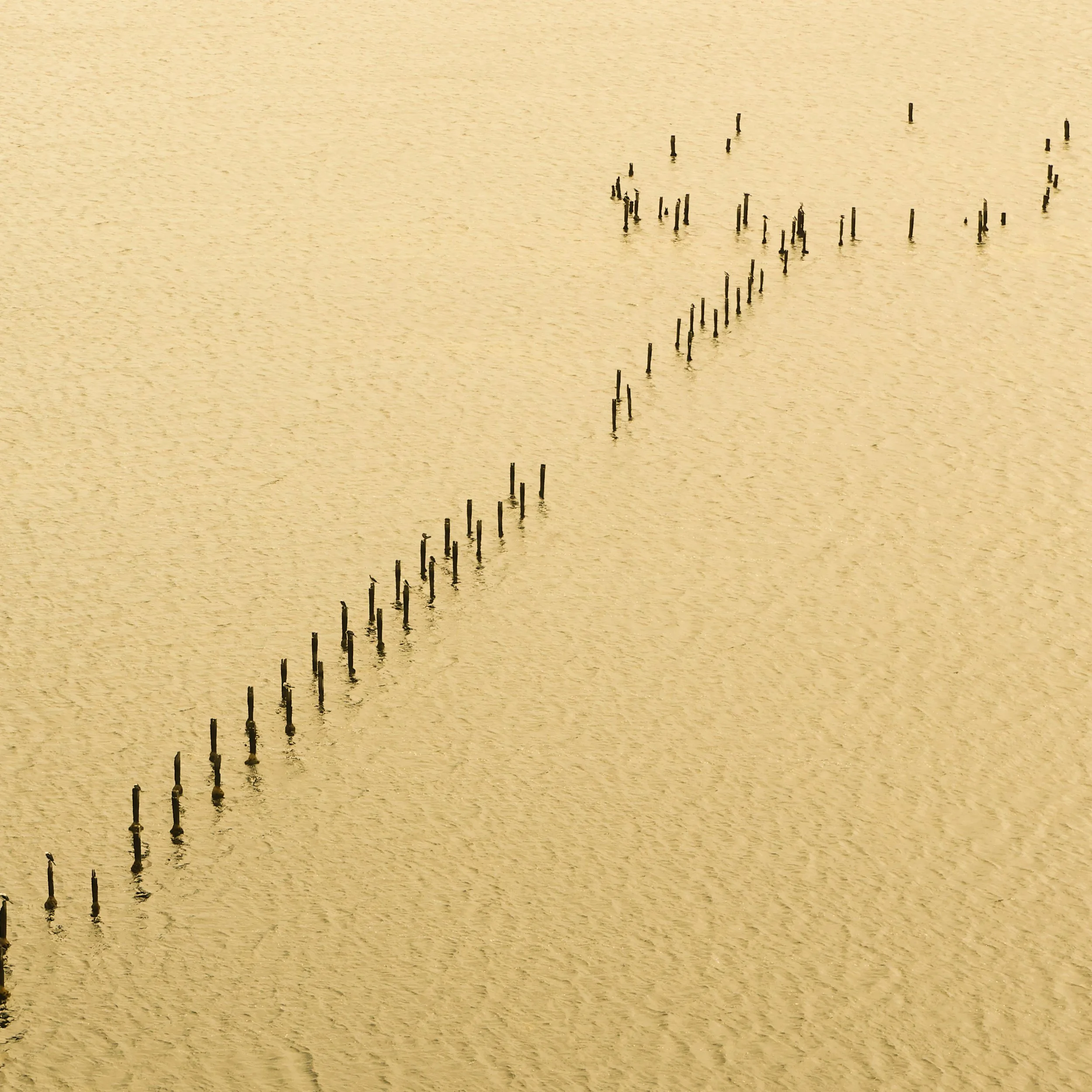 Clifton Springs Pier