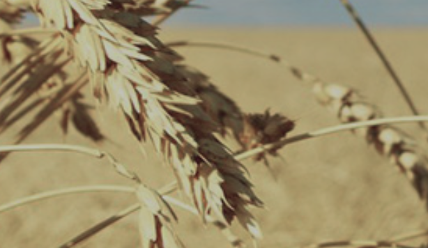 AGZERO, agriculture led climate solutions