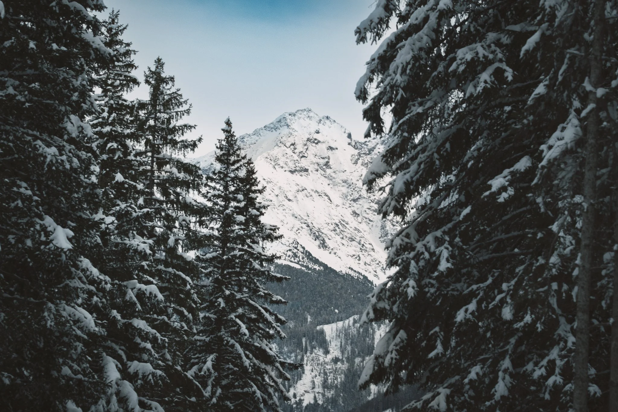 Serfaus-fiss-ladies-wintersport fotografie
