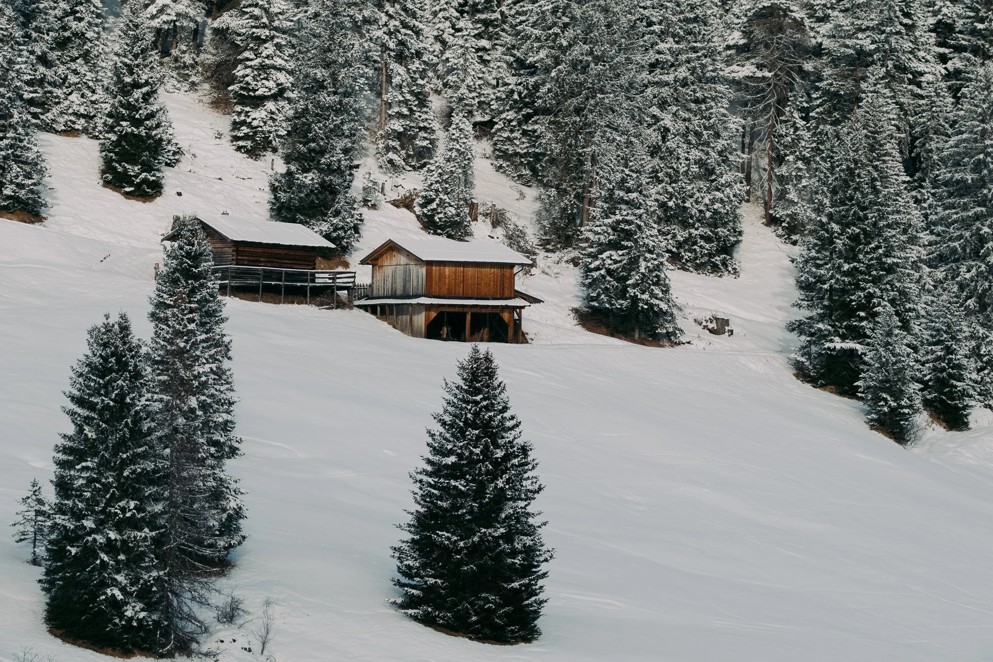 Serfaus-fiss-ladies-wintersport fotografie