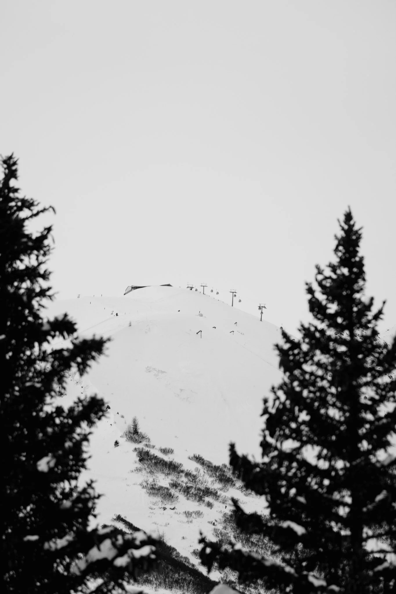 Serfaus-fiss-ladies-wintersport fotografie
