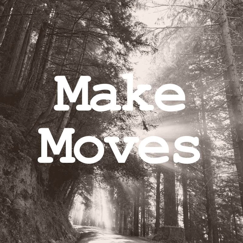 Make Moves