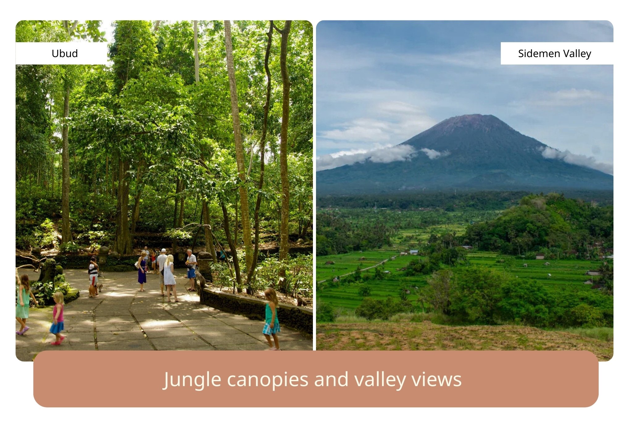 Ubud jungle landscapes and Sidemen Valley rice paddies, Bali, Indonesia.