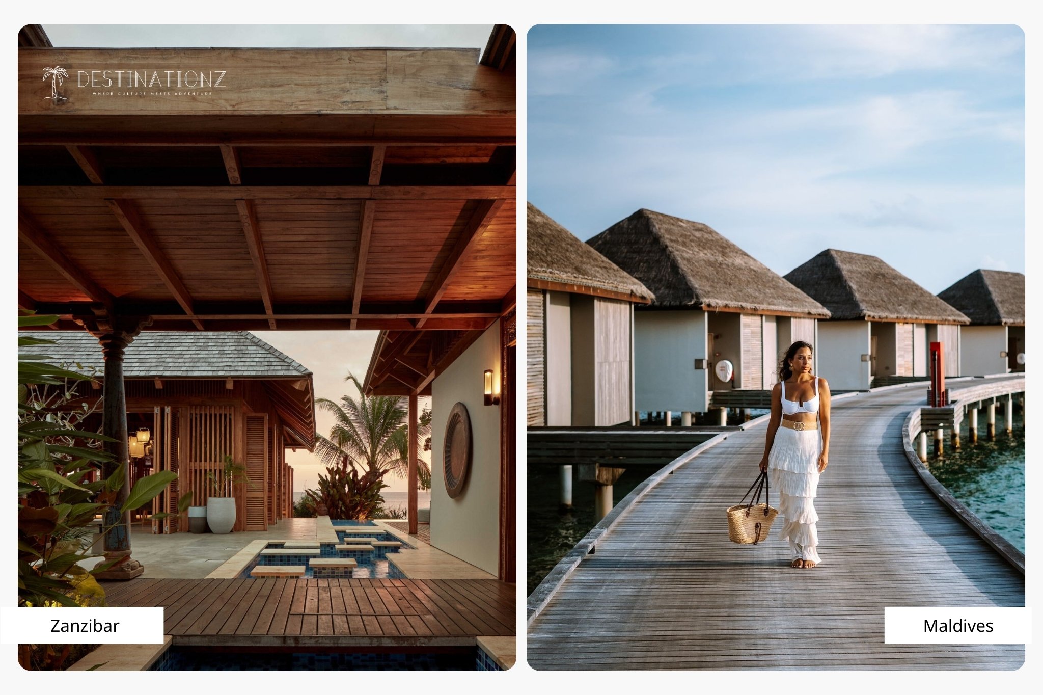 Comparing tropical stays: Isolated Maldives water villas for privacy and vibrant Zanzibar beachfront hotels for cultural immersion.