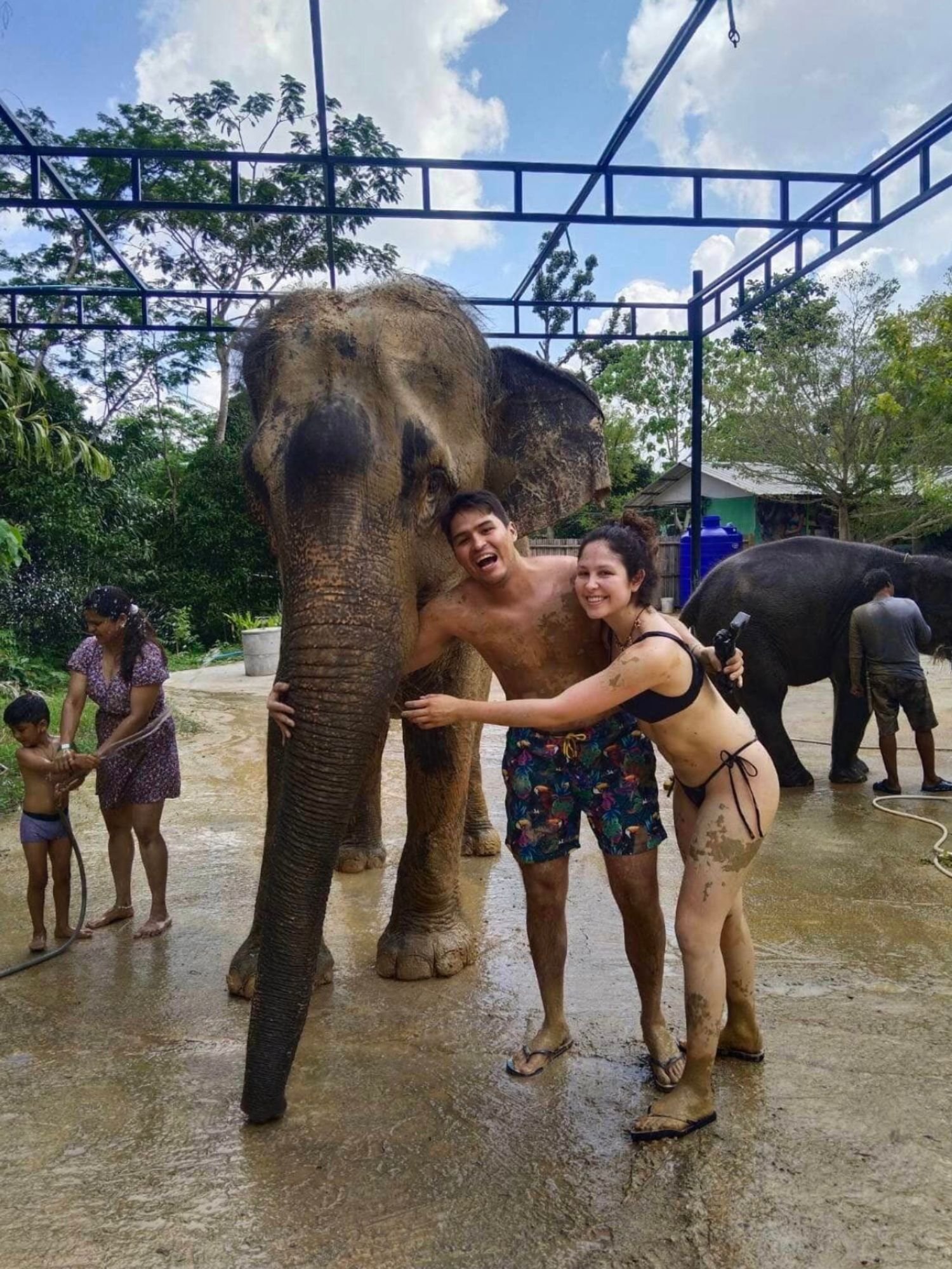 Ethical animal encounter in Chiang Mai featuring rescued elephants in a natural jungle habitat at a cruelty-free Thai wildlife sanctuary.