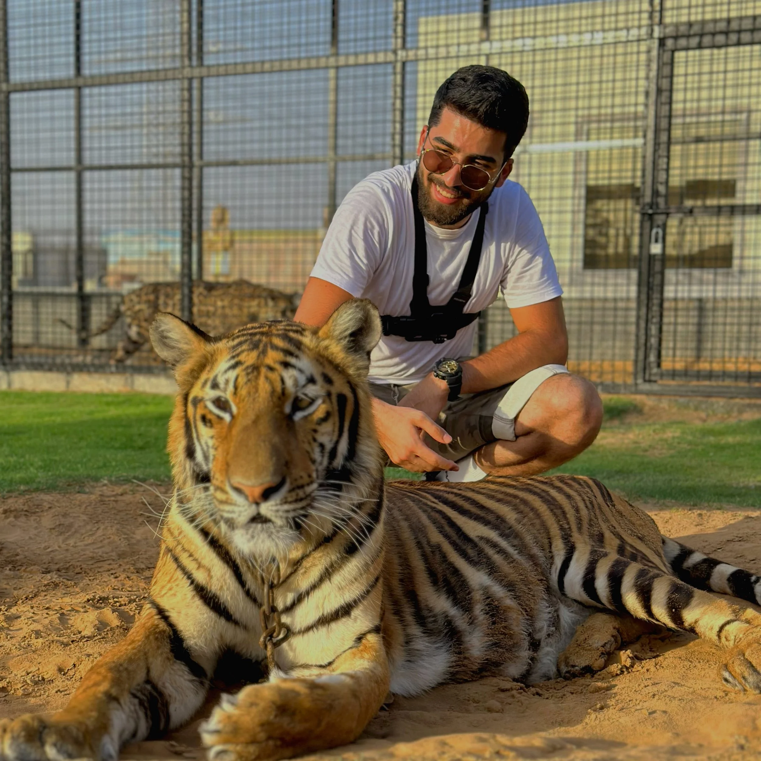 Unique Dubai attraction: Albuqaish Private Zoo