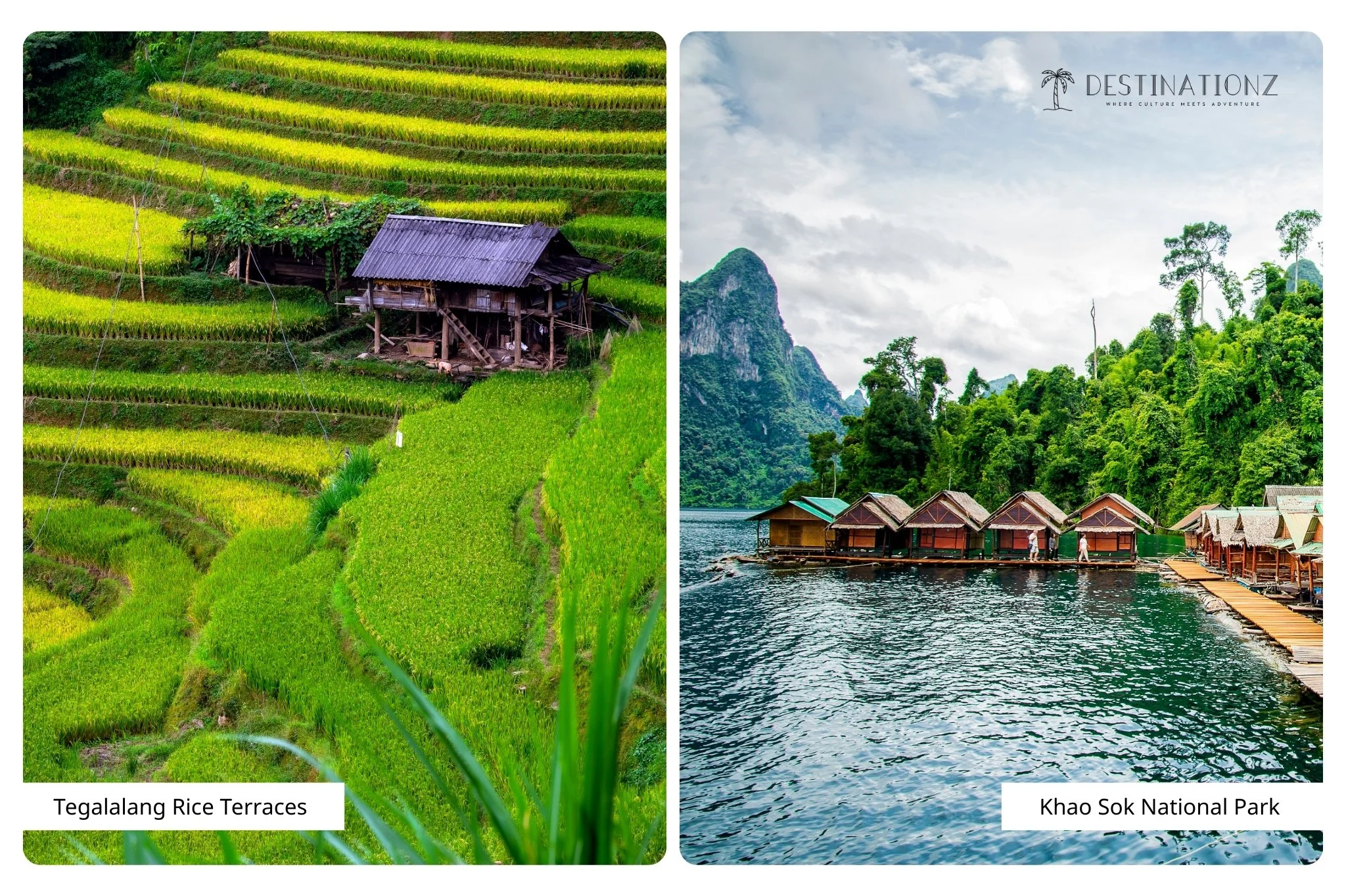 Top Southeast Asia landscapes: Bali’s Tegalalang Rice Terraces and Thailand’s Khao Sok National Park rainforest.