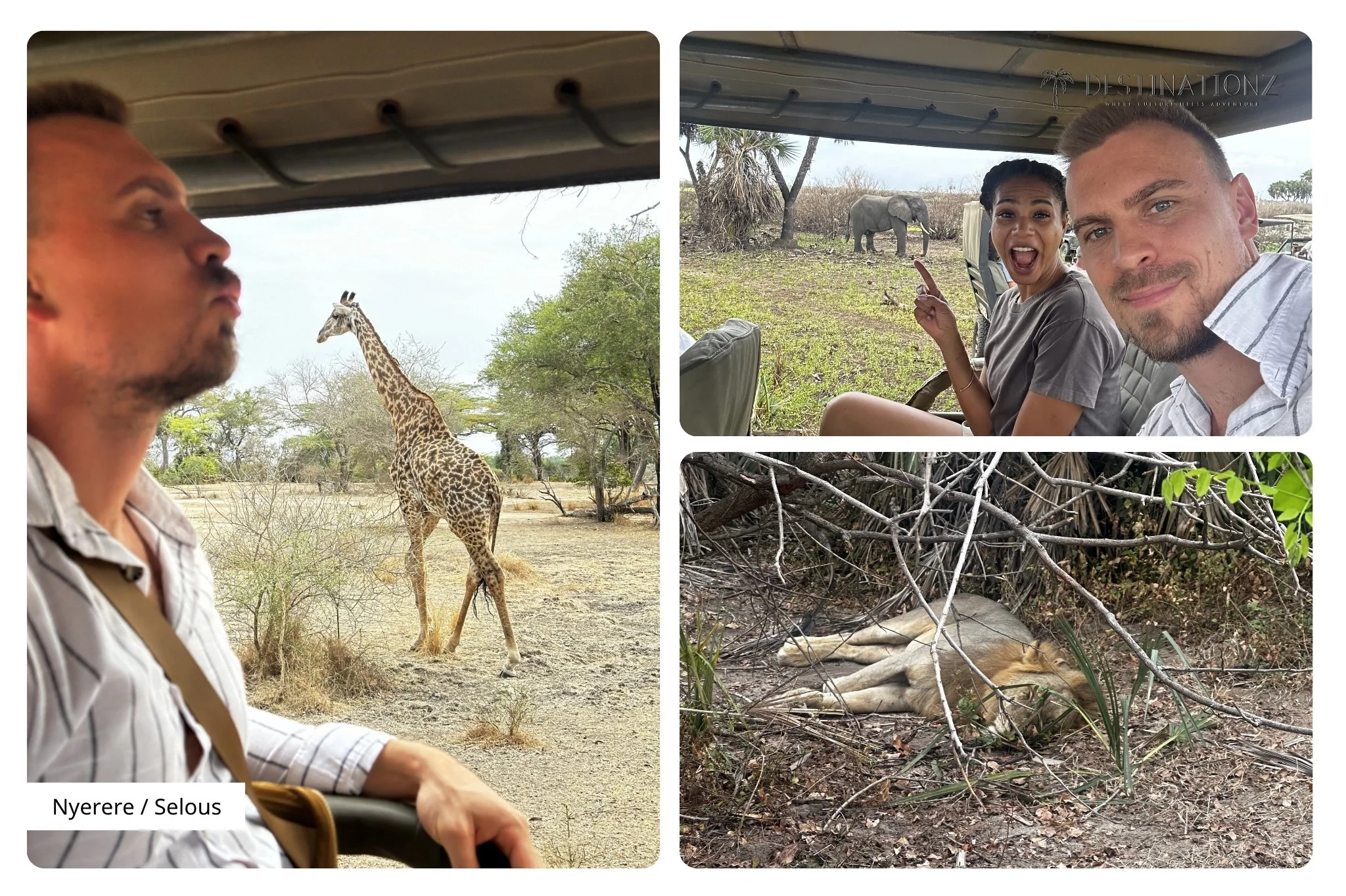 Wildlife Sightings in Nyerere National Park