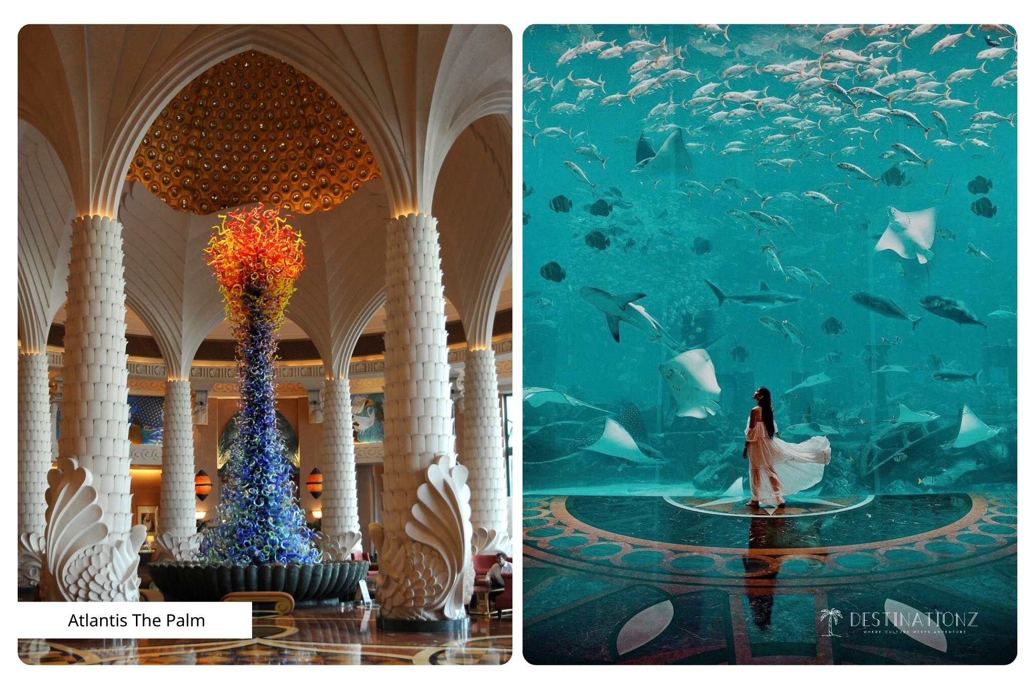 Atlantis The Palm