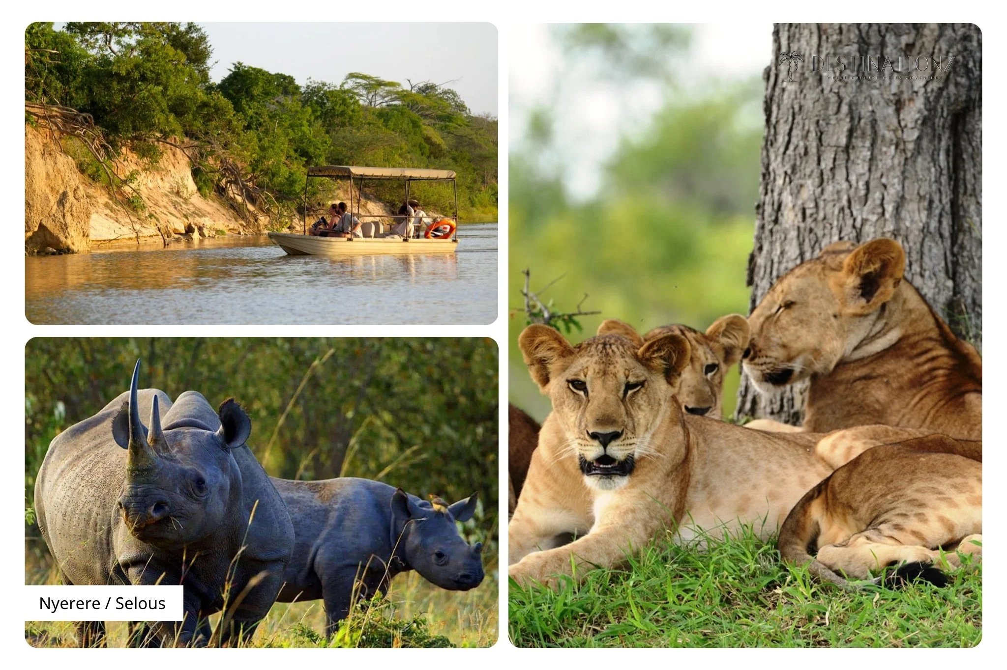 Wildlife Sightings in Selous National Park