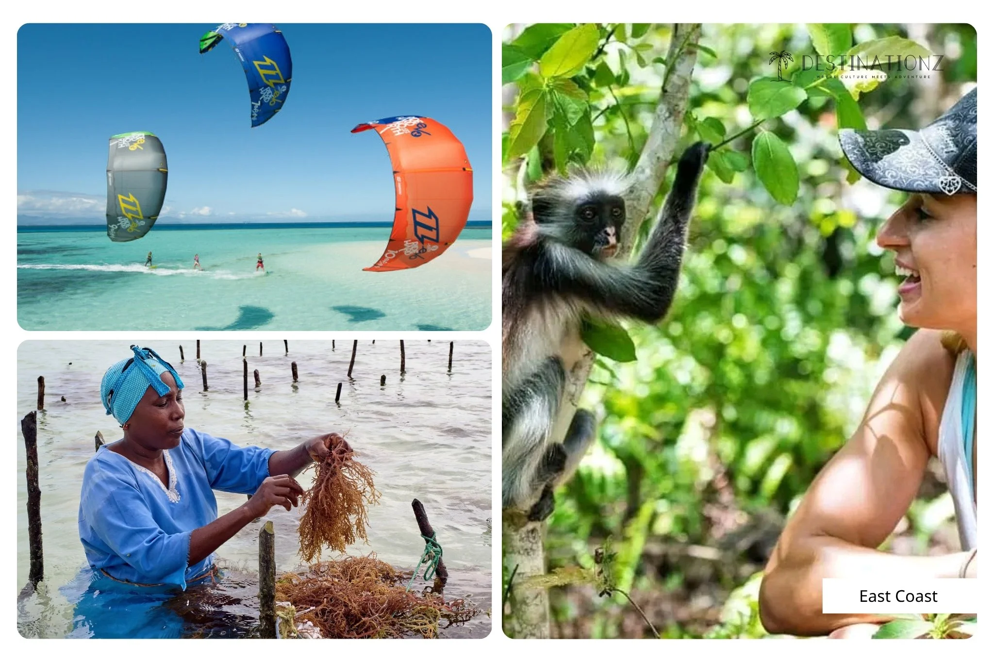 Paje, Jambiani, and Matemwe beach Zanzibar, East Coast soul vibe.