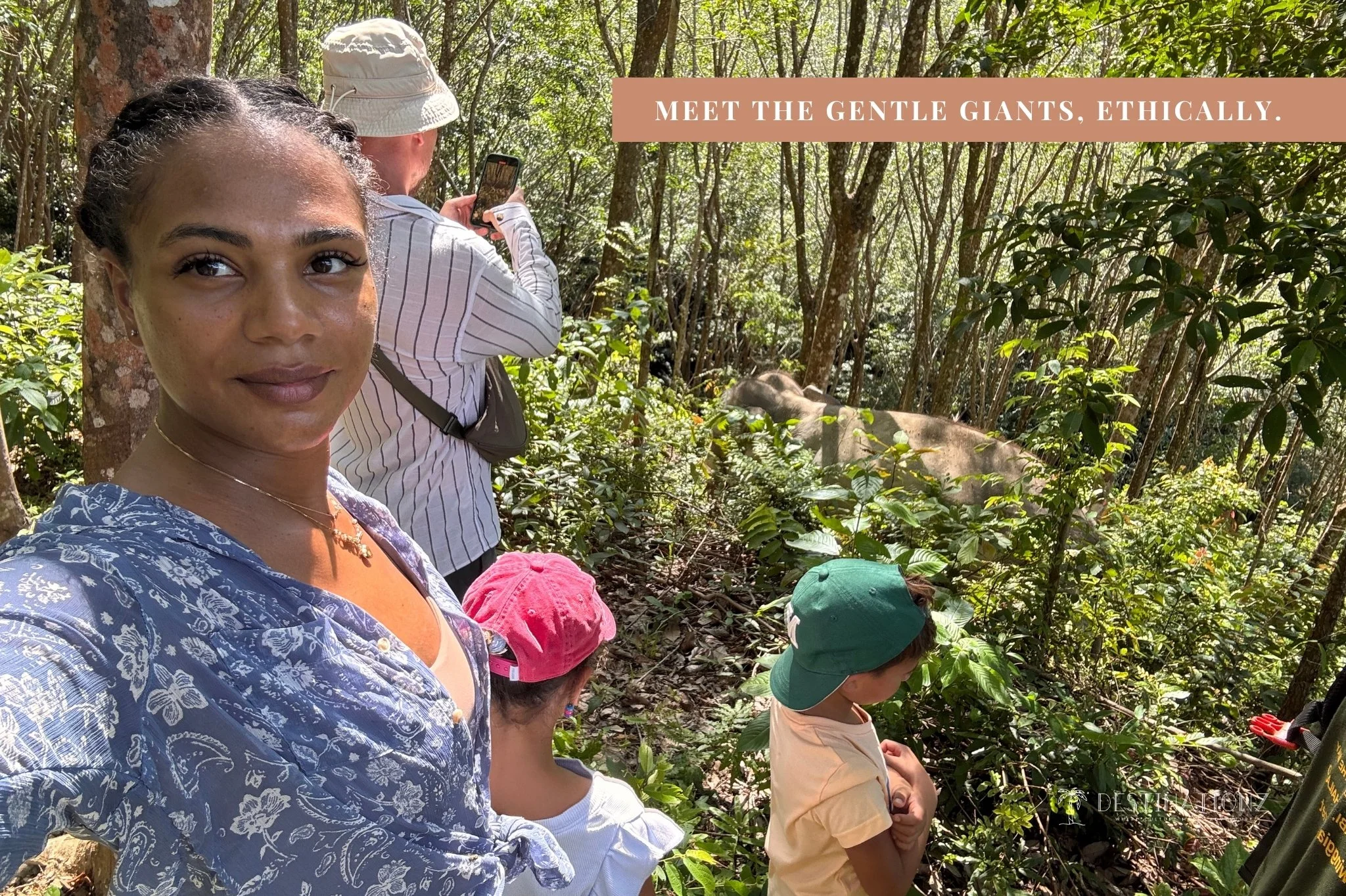 Ethical elephant sanctuary encounter in Thailand, promoting responsible wildlife tourism and respect for nature.