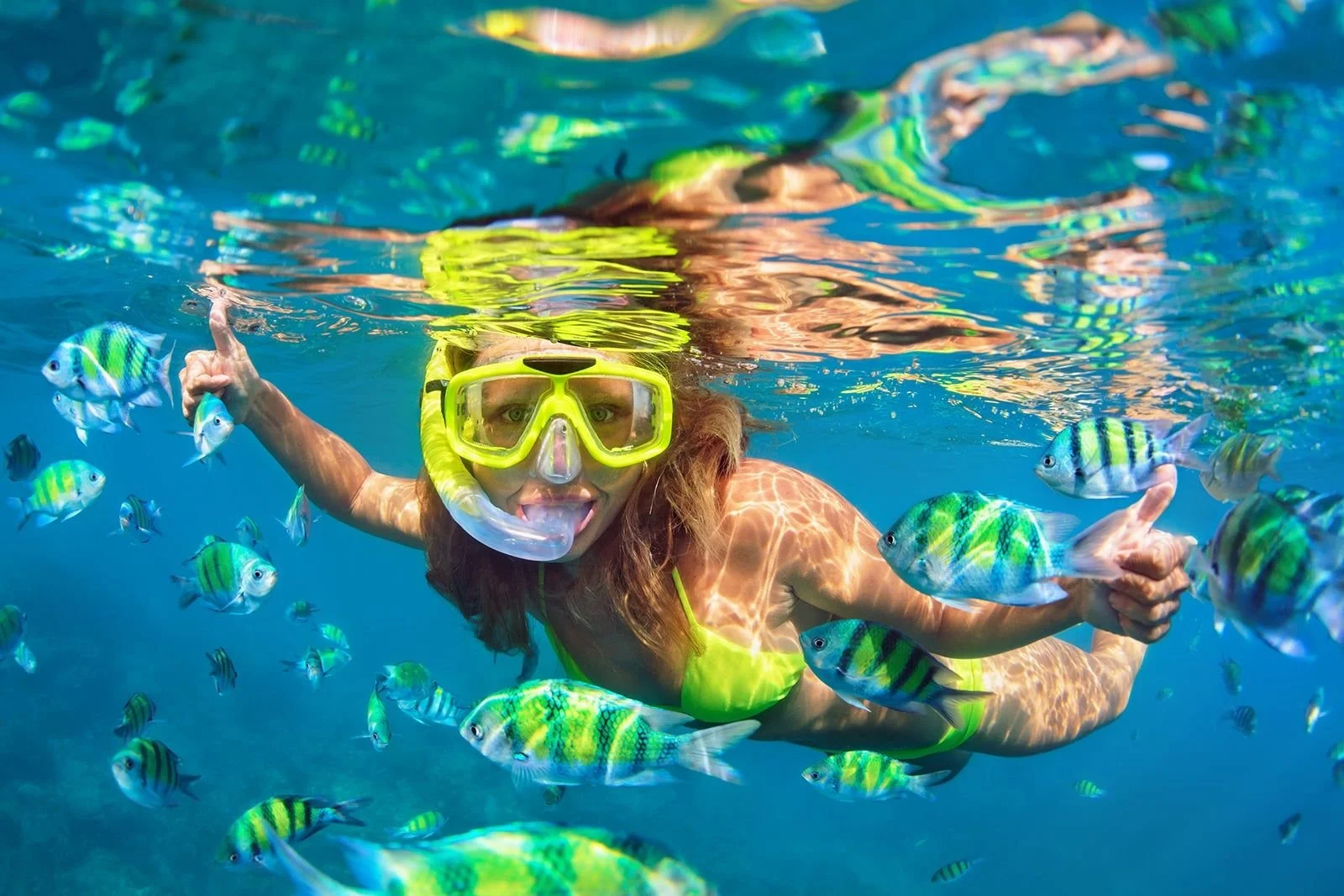 Underwater view of a snorkeler at Maya Bay coral reef in the Phi Phi Islands, featuring colorful fish and healthy sea anemones.