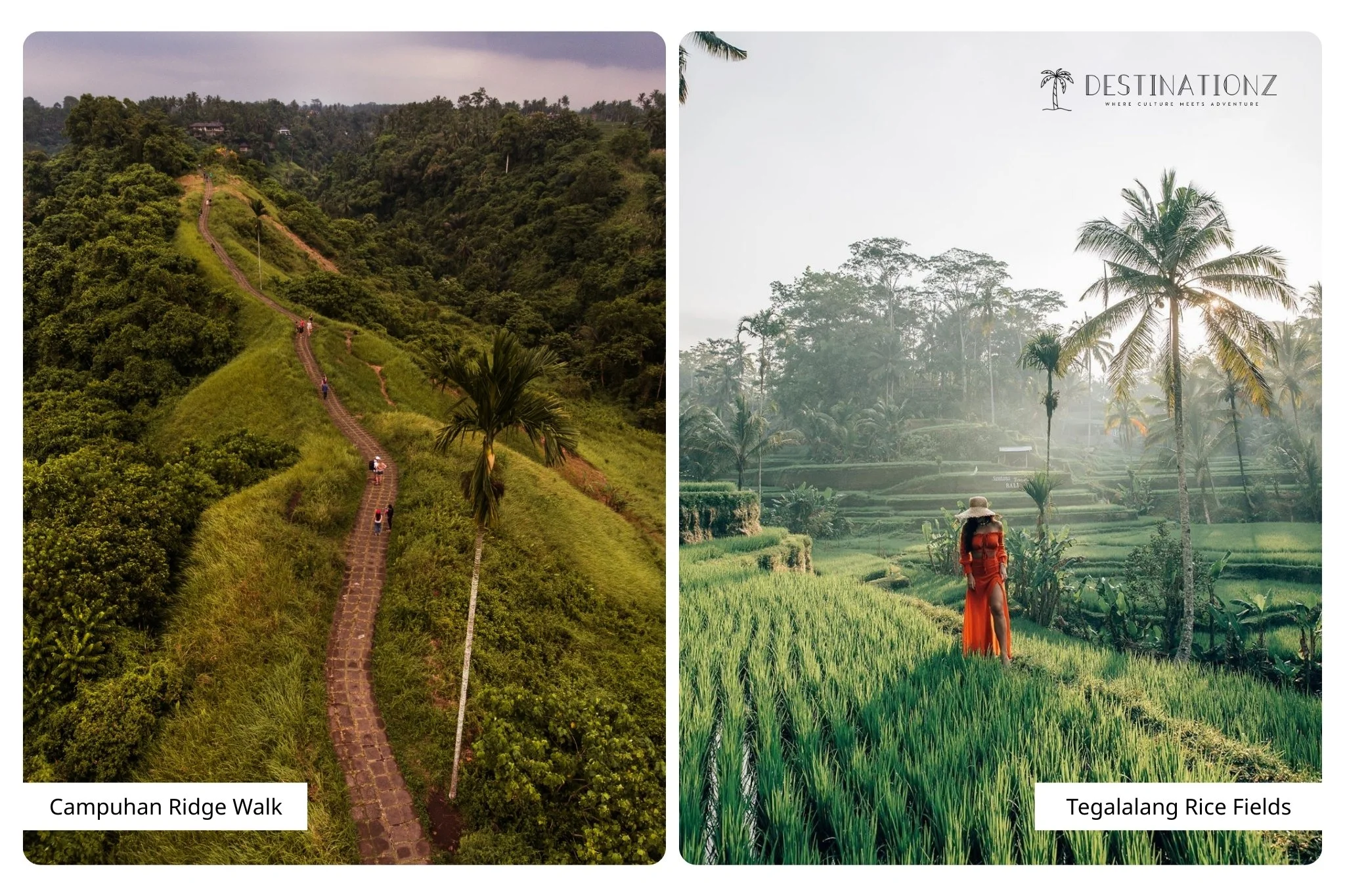 Campuhan Ridge Walk sunrise and Tegalalang Rice Terrace, Ubud, Bali.