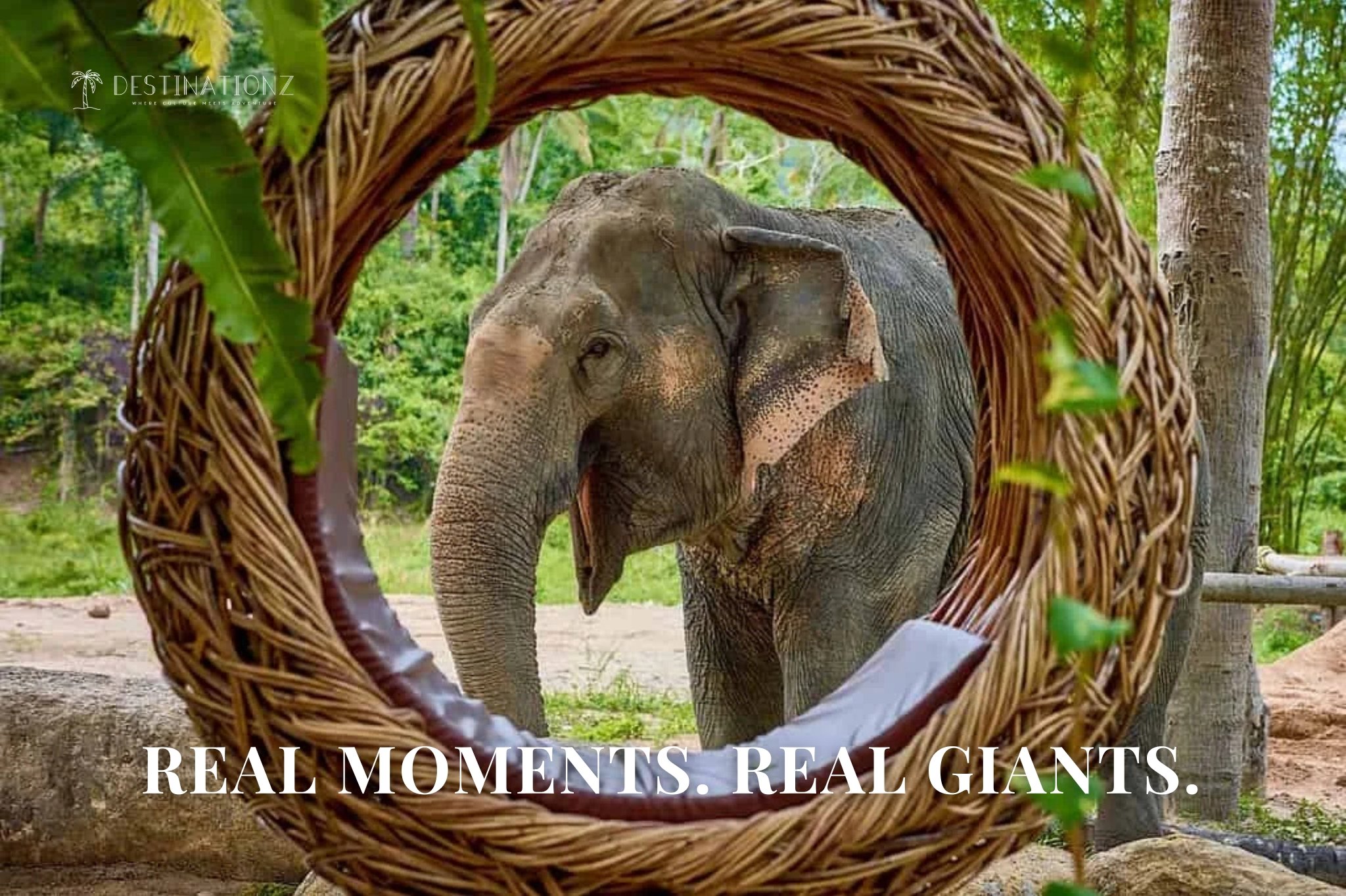 Ethical elephant sanctuary experience and activities in Koh Lanta.