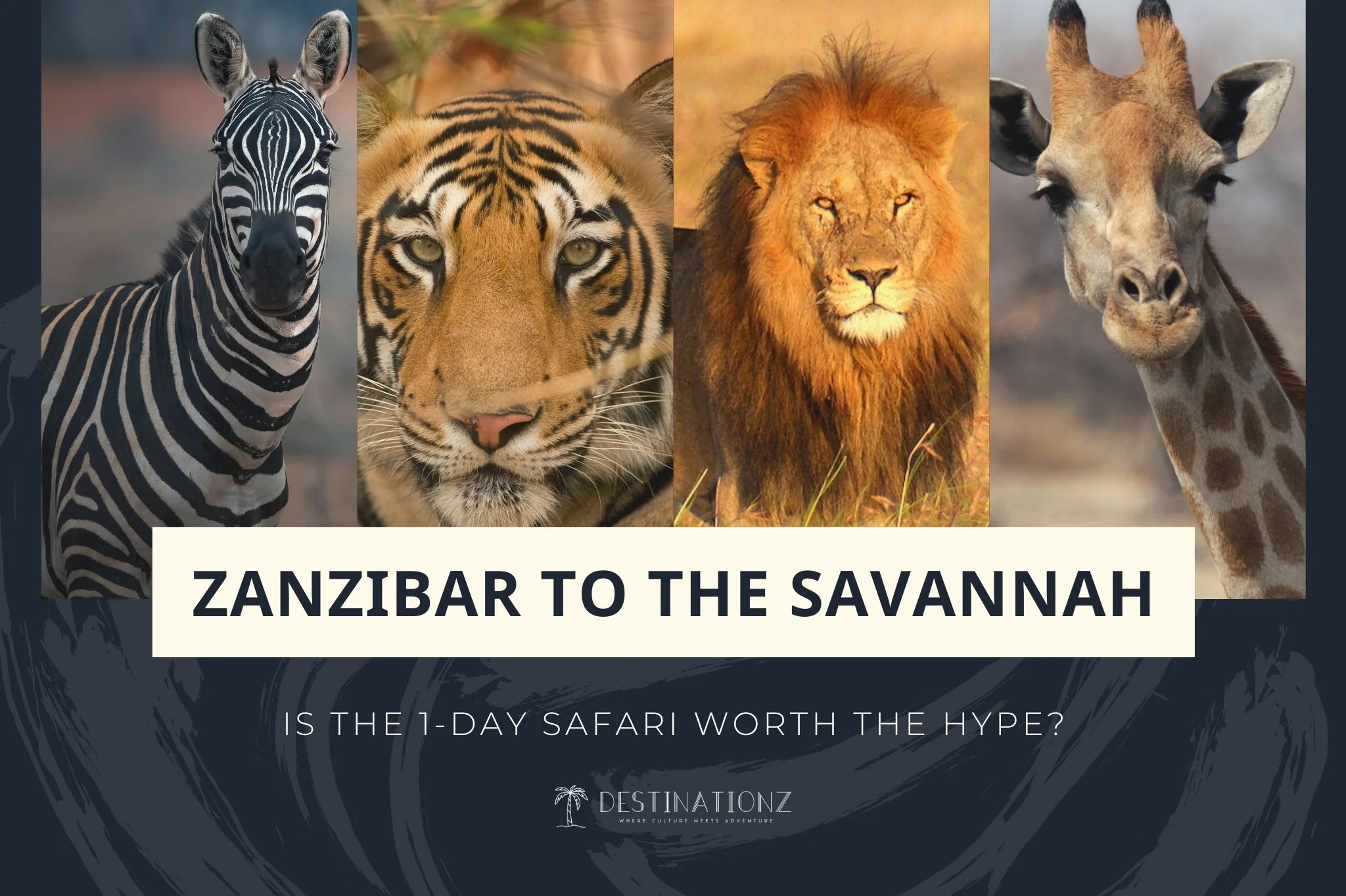 African wildlife sightings during a 1-day safari from Zanzibar excursion.