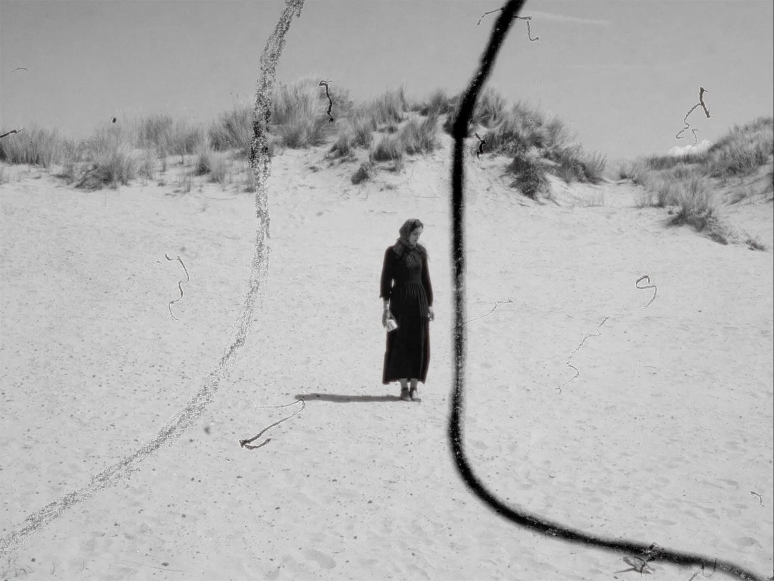 IFFR — Thana Faroq and the Unfinished Work of Return in Imagine Me Like The Country of Love