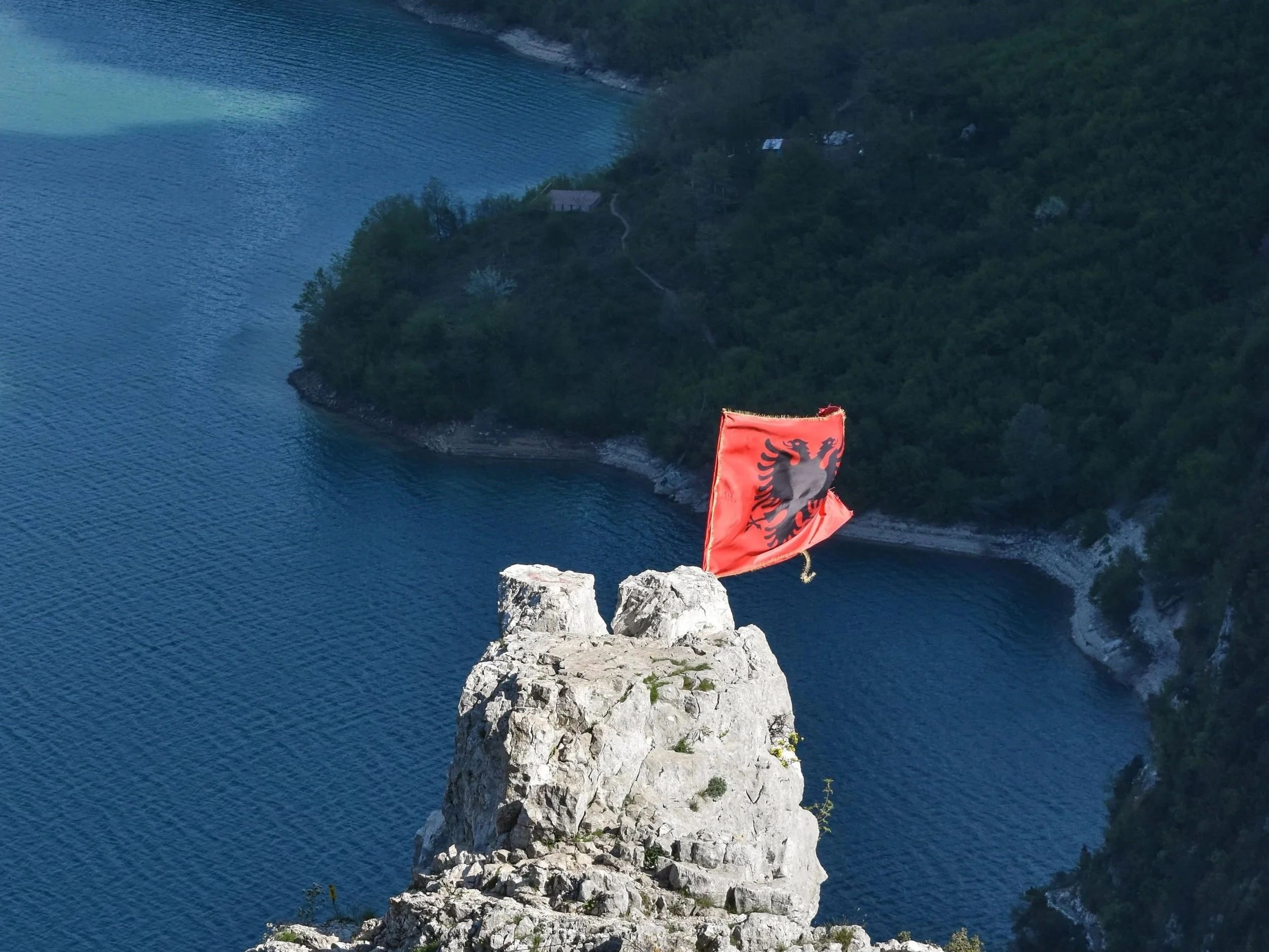 How the Flamingo Revolution Awakened Albania