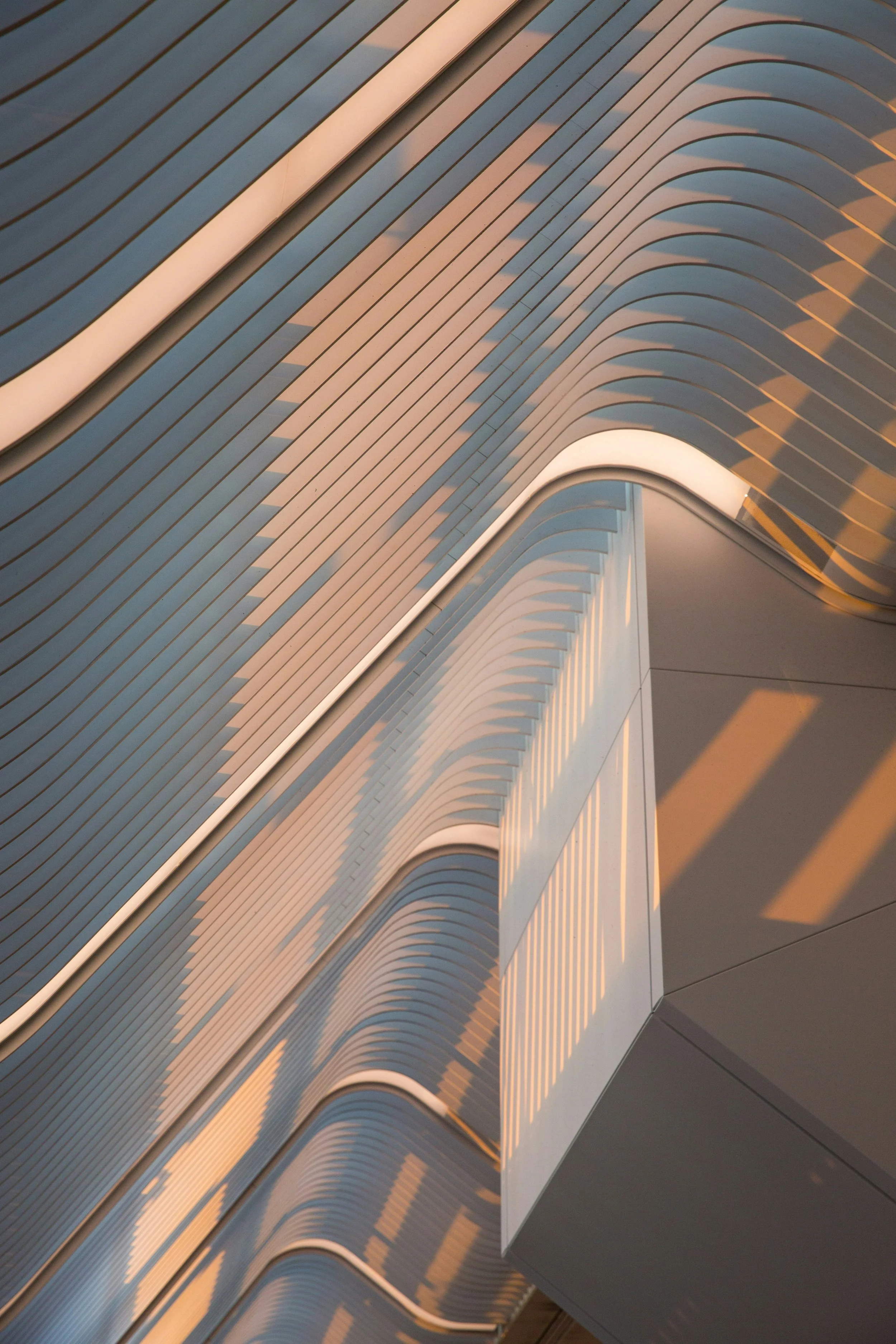 Modern architectural construction design detail by Apamea Construction Sydney