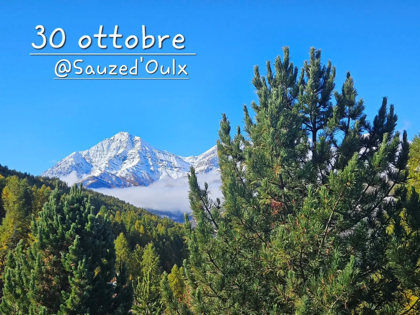 OGGI QUI É COSÌ...
uno strepitoso contrasto di azzurro, bianco, verde e giallo!
Vi aspettiamo questo week-end per condividere questa bellezza e per inaugurare ufficialmente la stagione invernale 2025/2026.
🌰 PROMEMORIA 🌰
Castagne pe