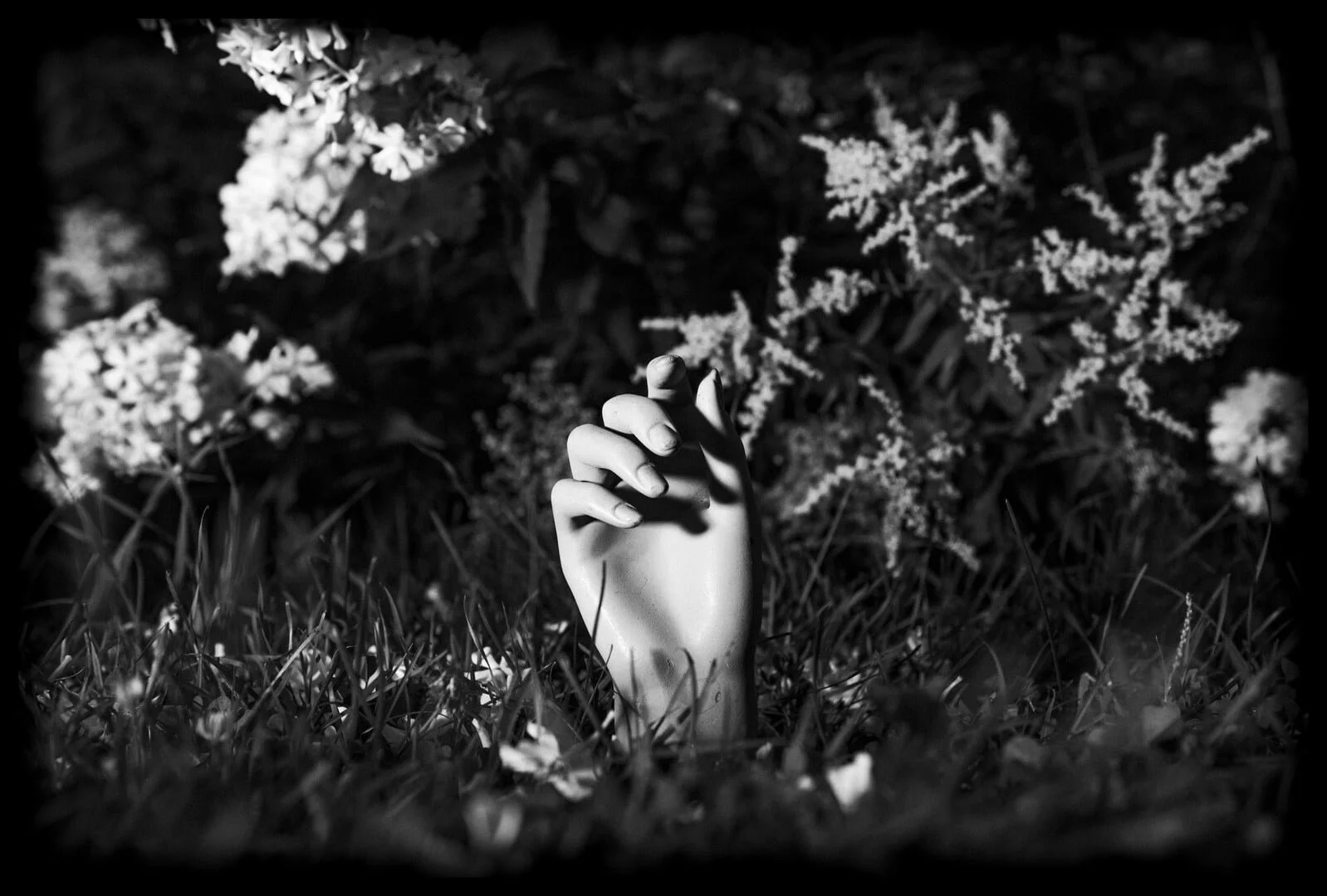 DREAMS & STRANGENESS IN THE GARDEN - Les Filles électriques (CA)