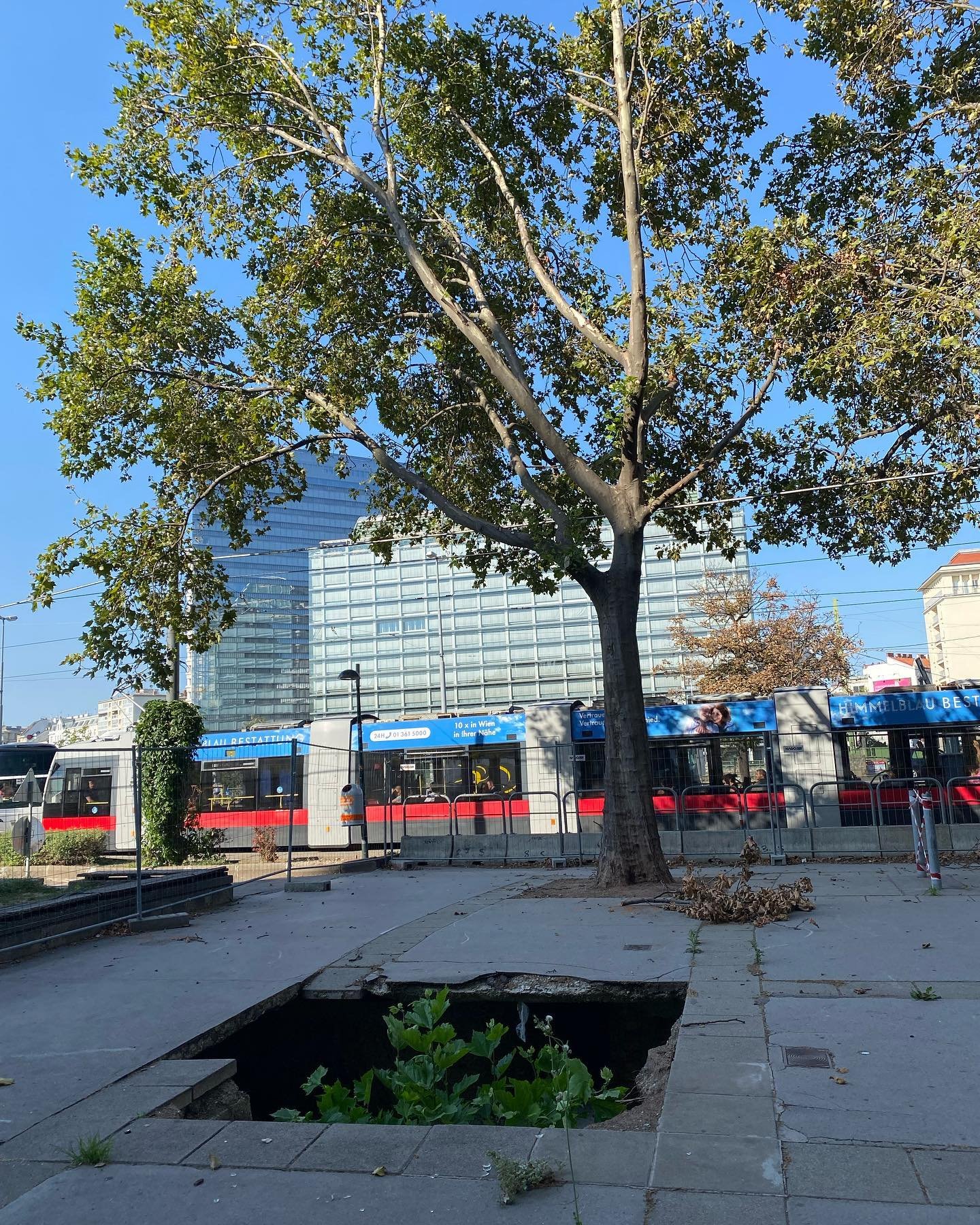 Vienna can make you disappear &hellip;
