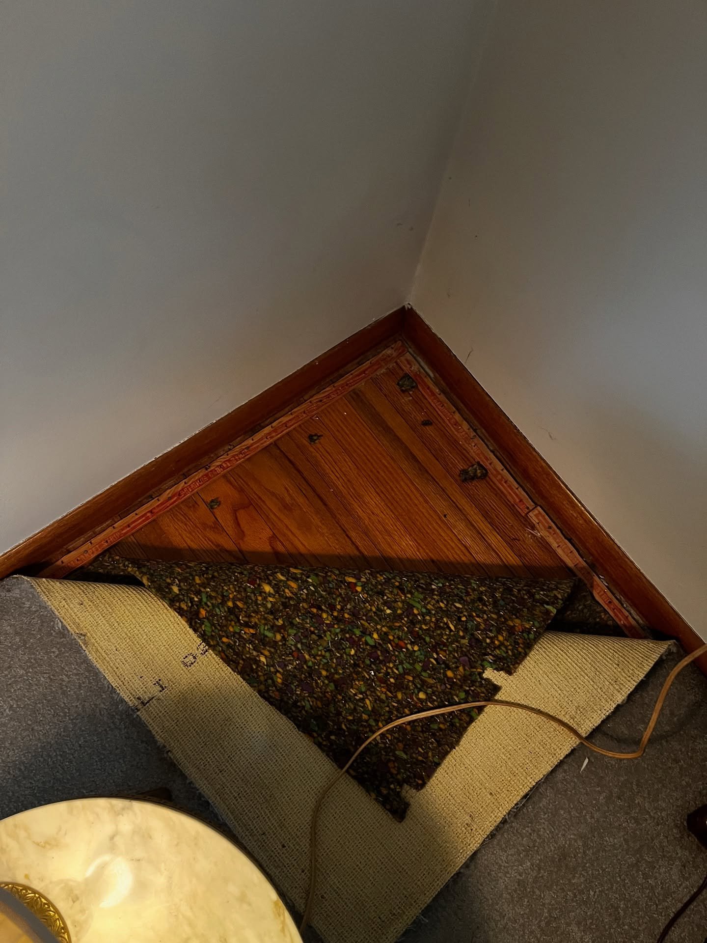 A hidden surprise in so many older NJ homes&hellip; hardwood floors beneath the carpet✨

In the 1950s and 60s, it became popular to cover original hardwood with wall-to-wall carpet. The good news? In many cases, that wood is still there &mdash; waiti