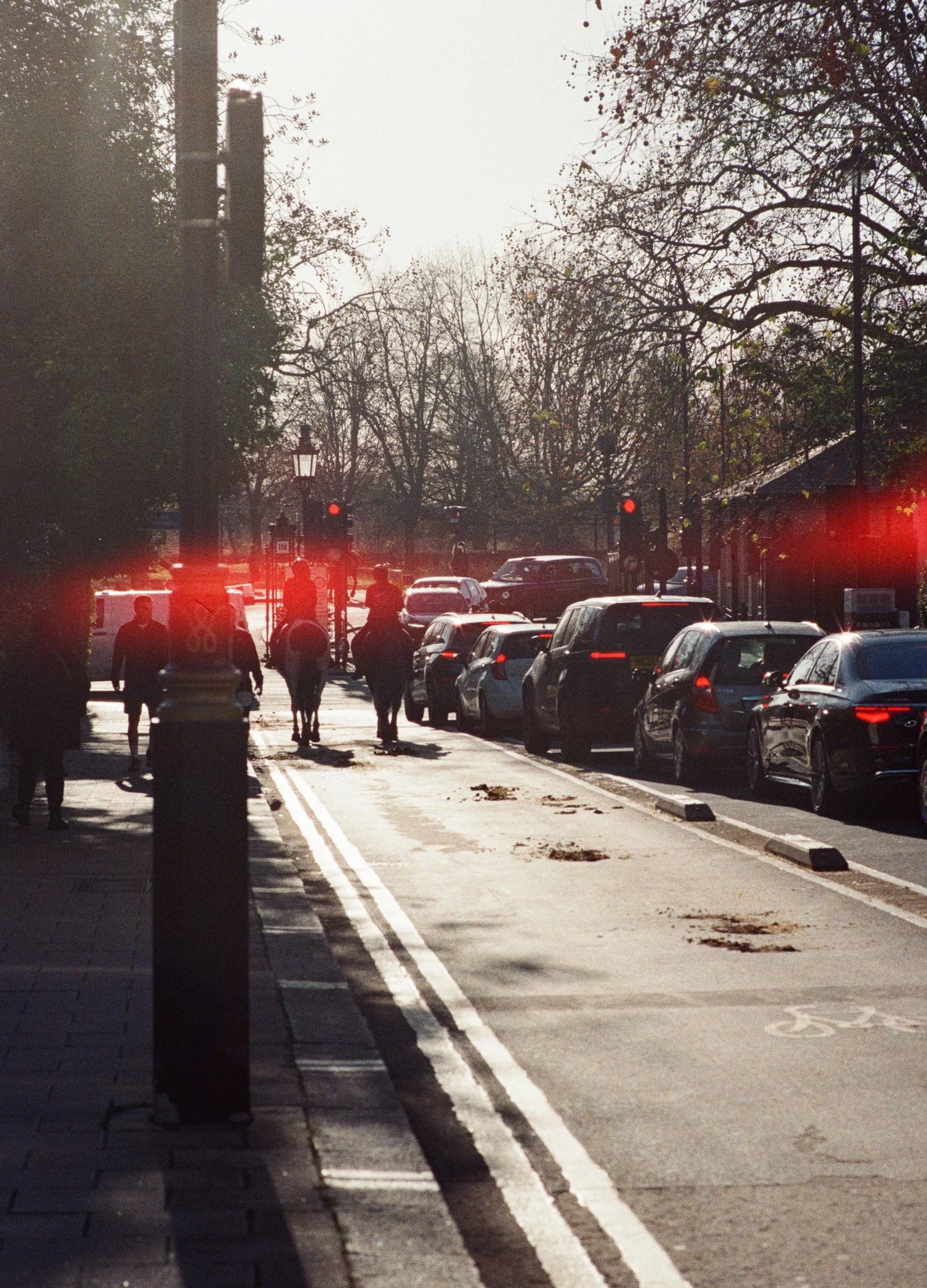 003-a5fd6.jpg
