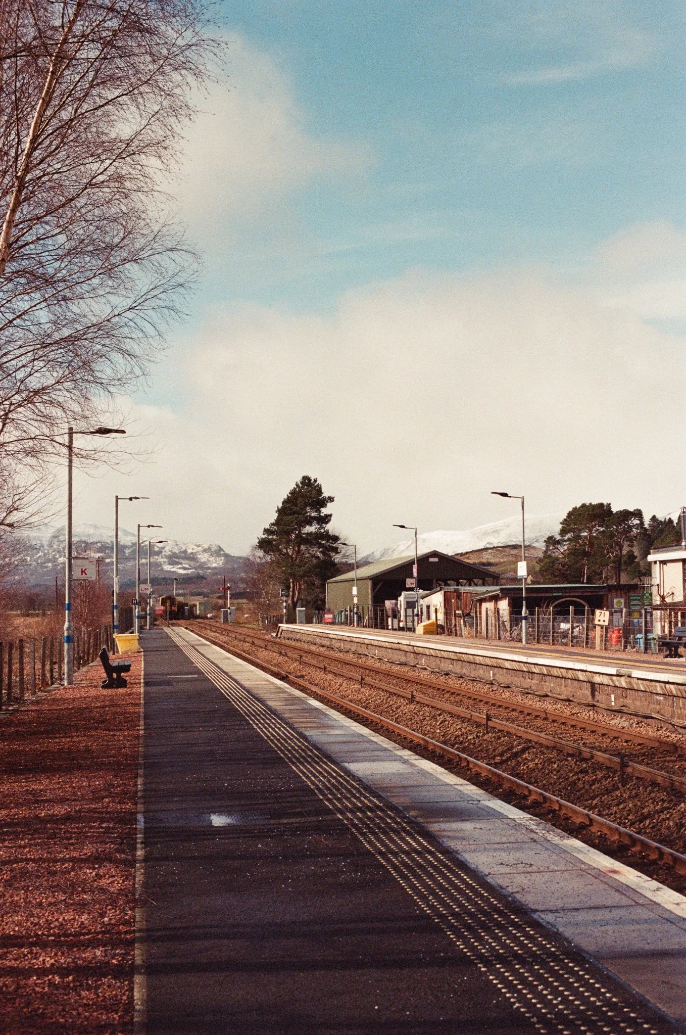 0020-80d61.jpg