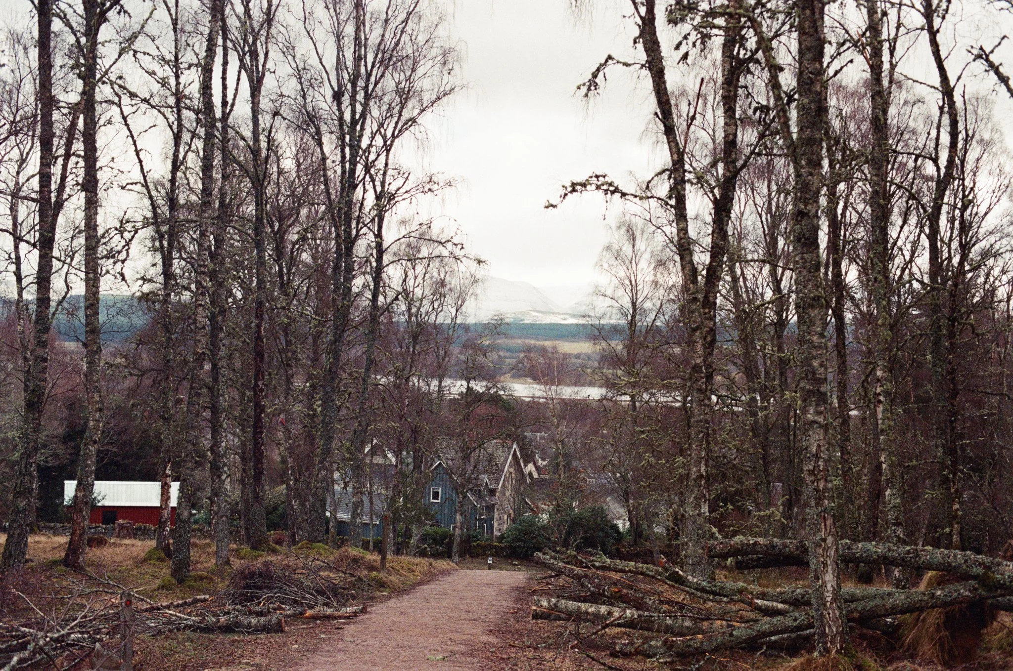 0024-7e003.jpg