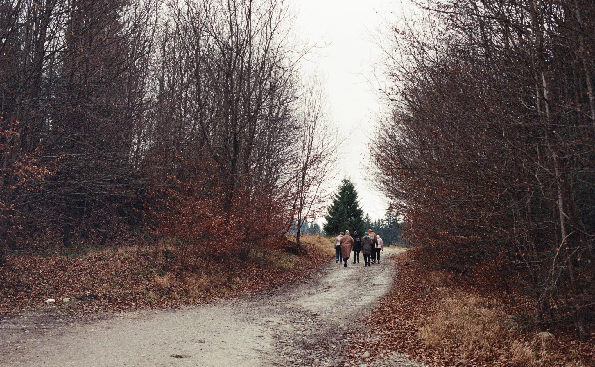 005-dbab1.jpg