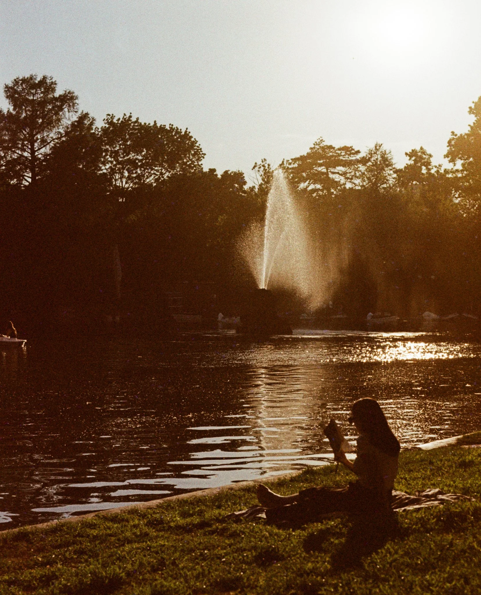 005-e8f0e.jpg