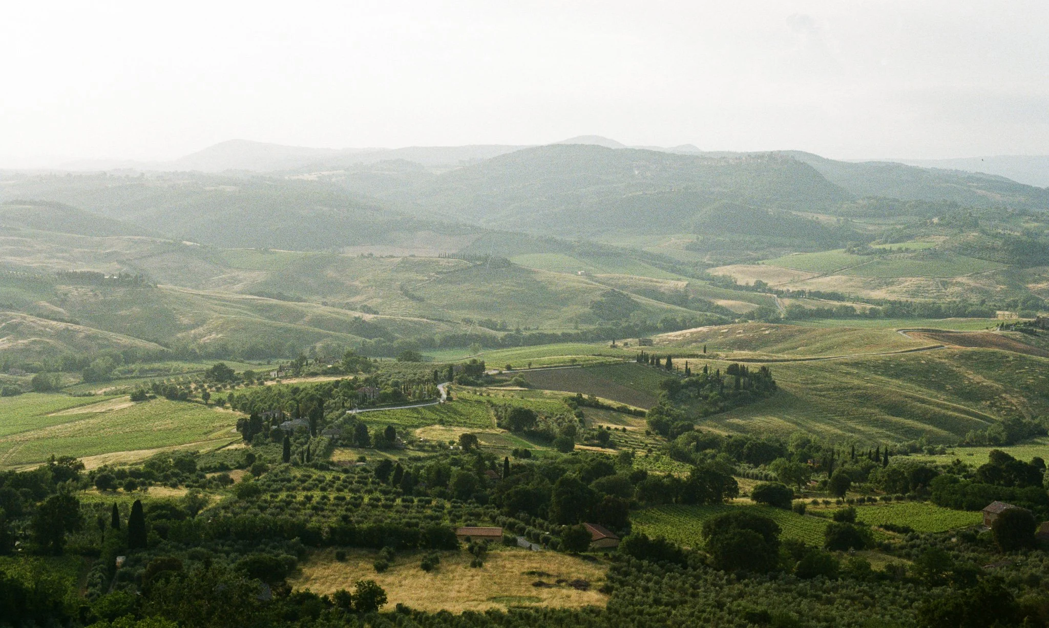 0012-2879e.jpg