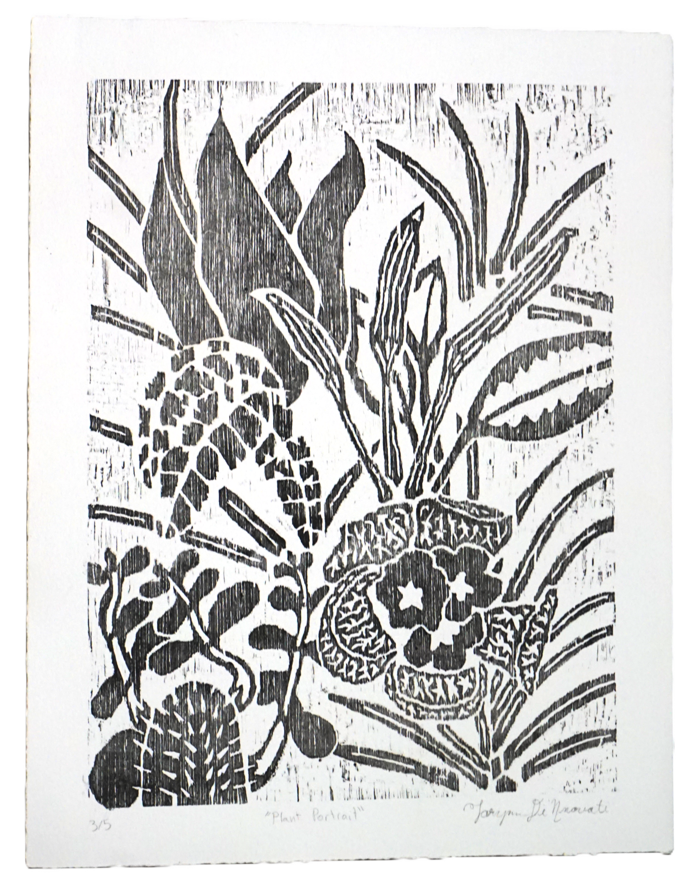 PlantPortrait(3-5).1.png