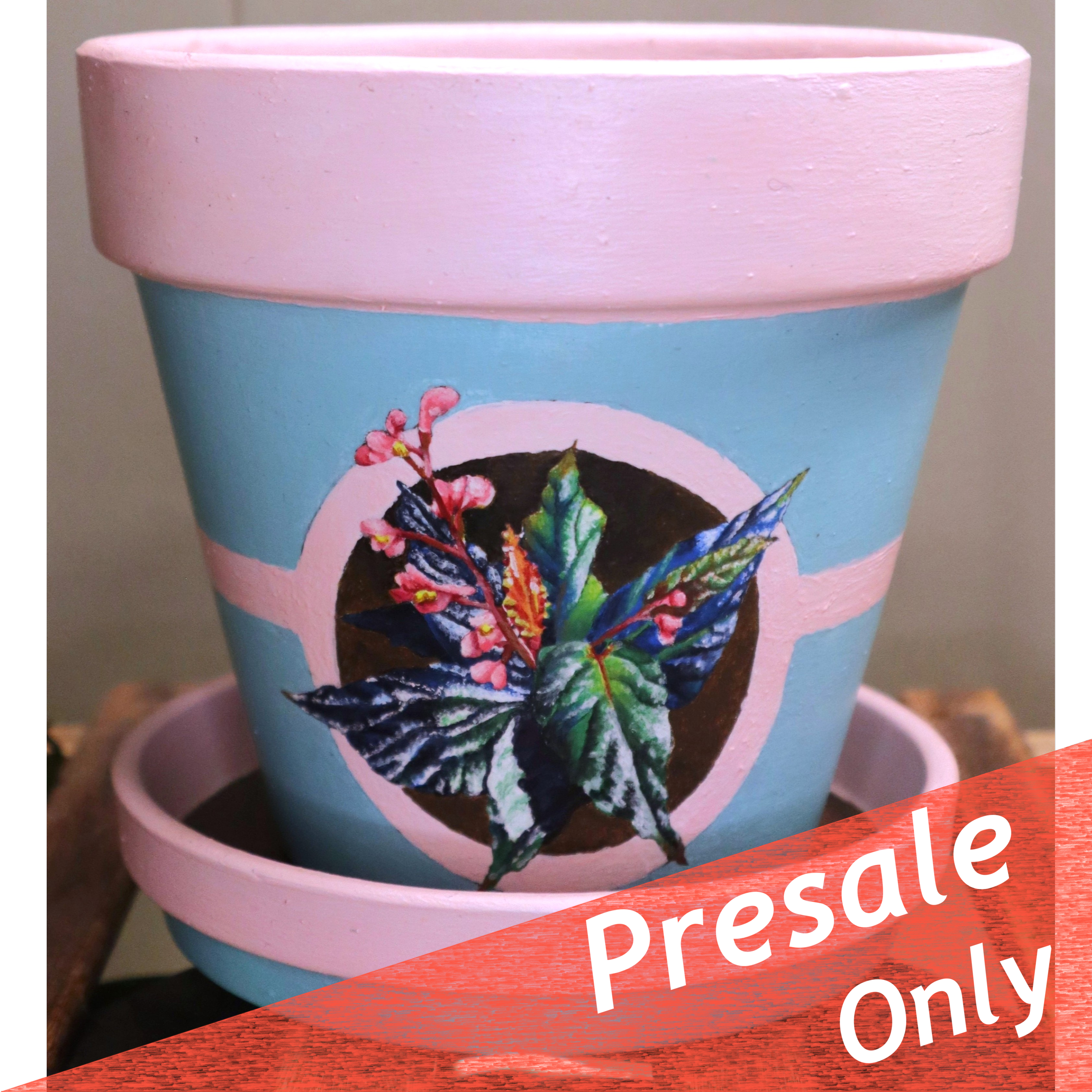 Blue Begonia Planter