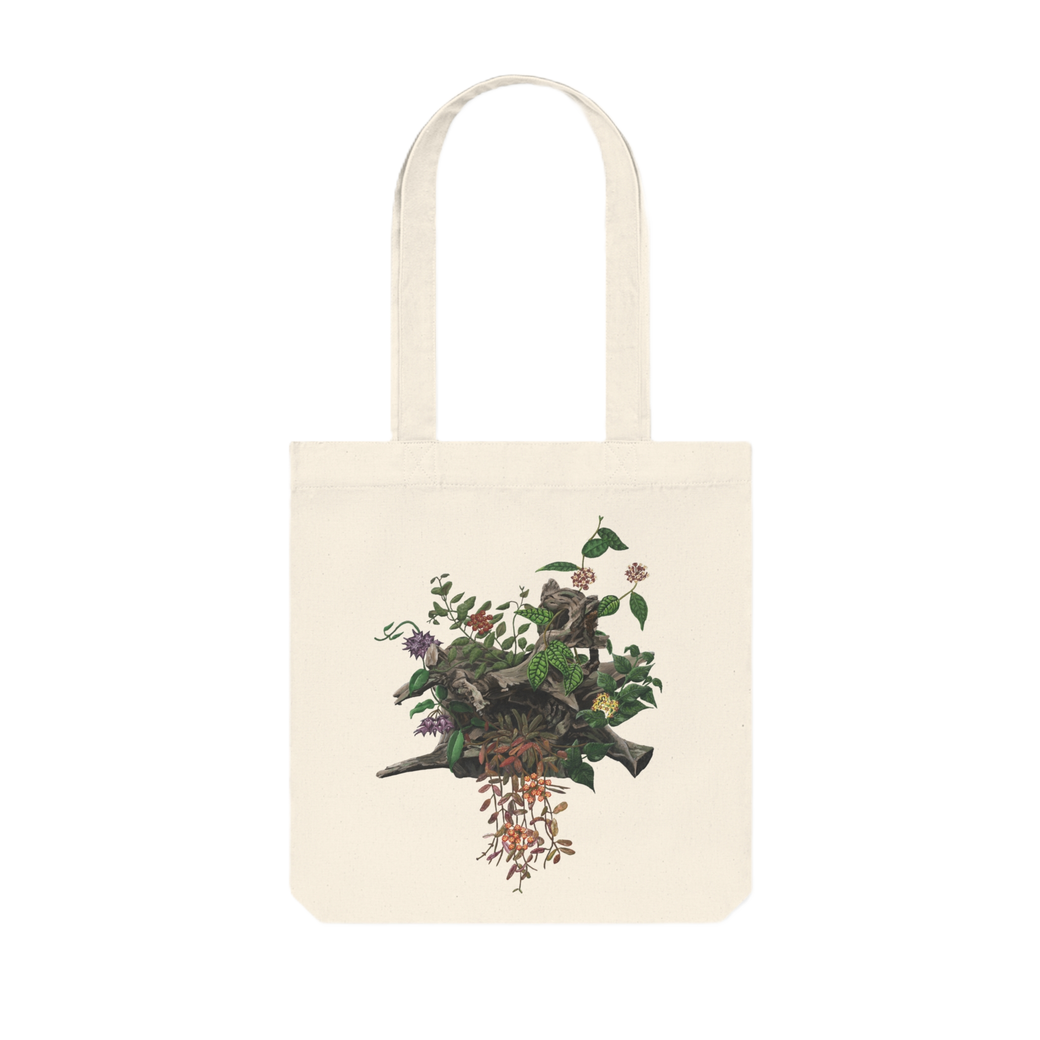 Front.png