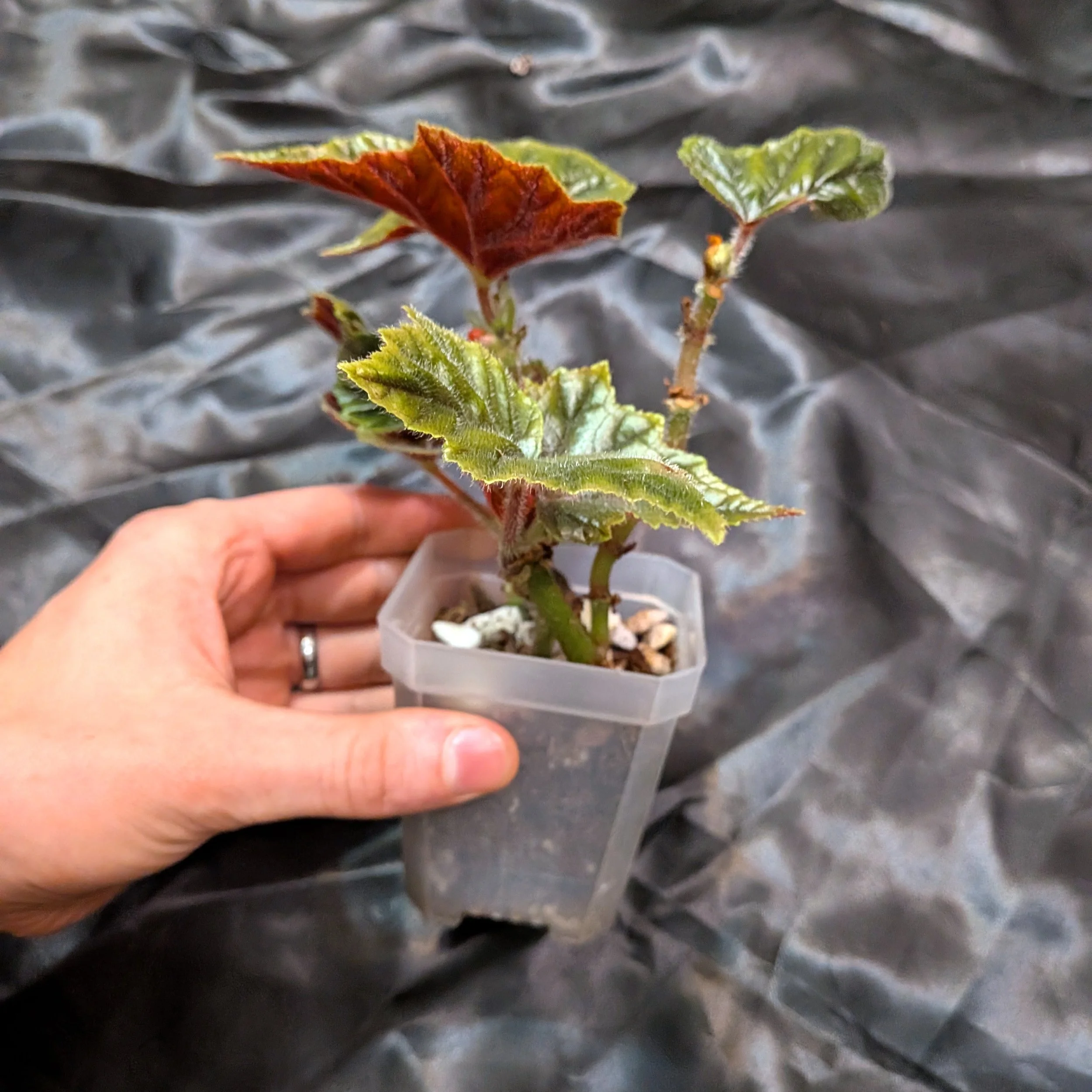 PXL_20260701_021227023.jpg