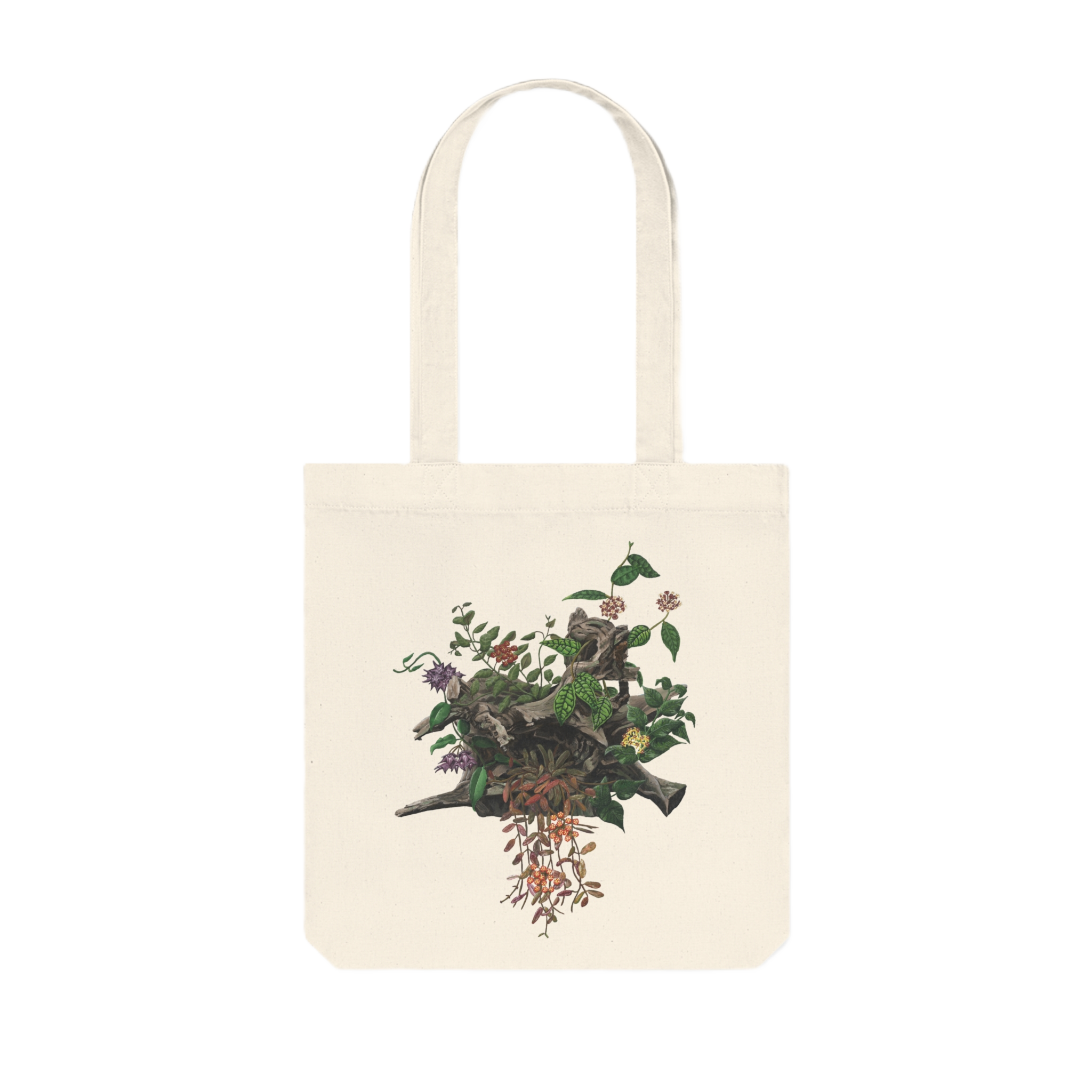 Back.png