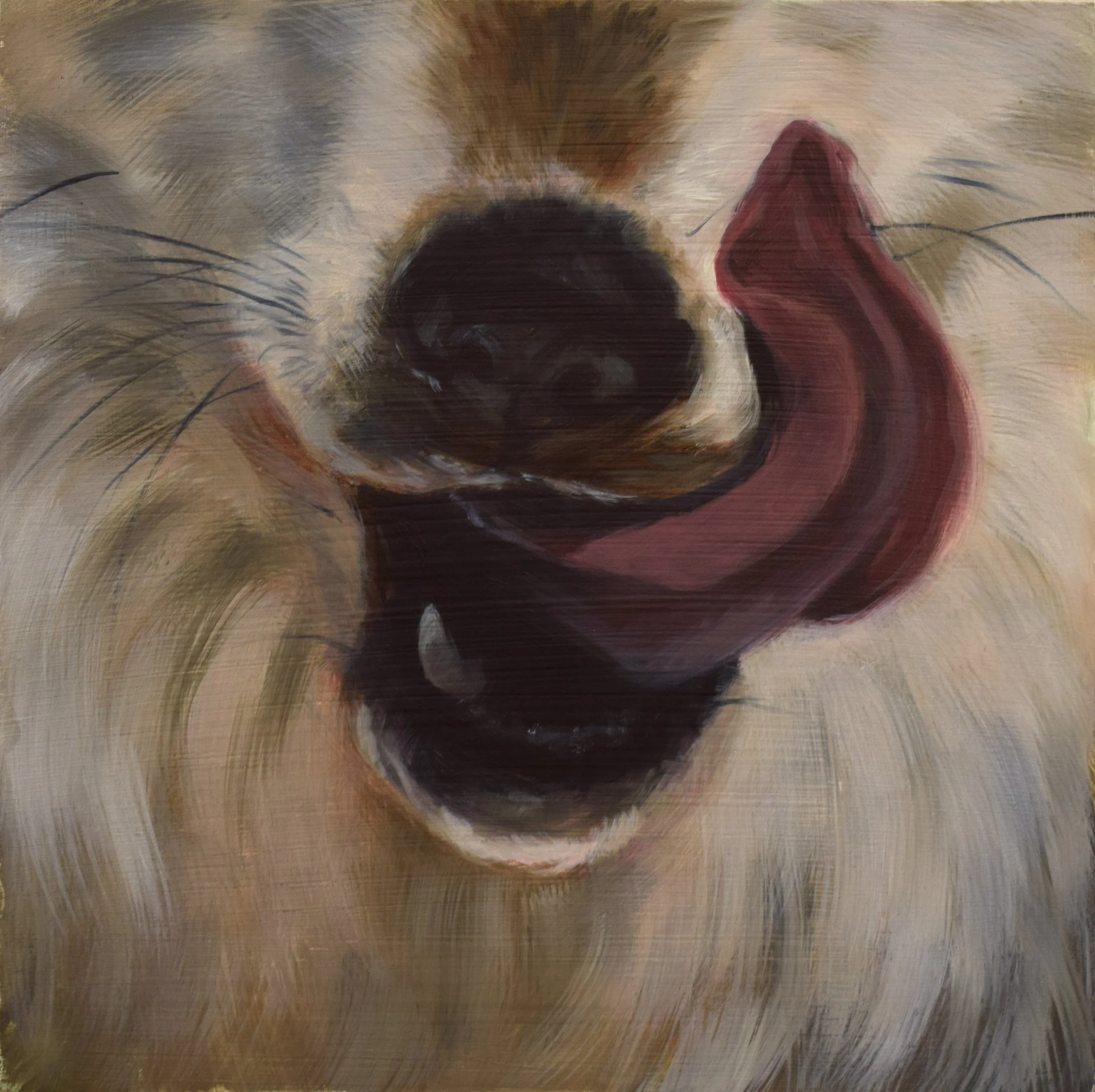 V from series Devour, oil on board, 10 x 10", 2025