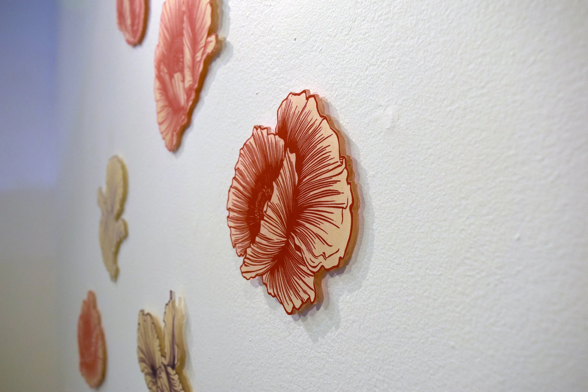 Pressed & Painted, A Floral Study
Dana Wiley Gallery, Dayton, OH
