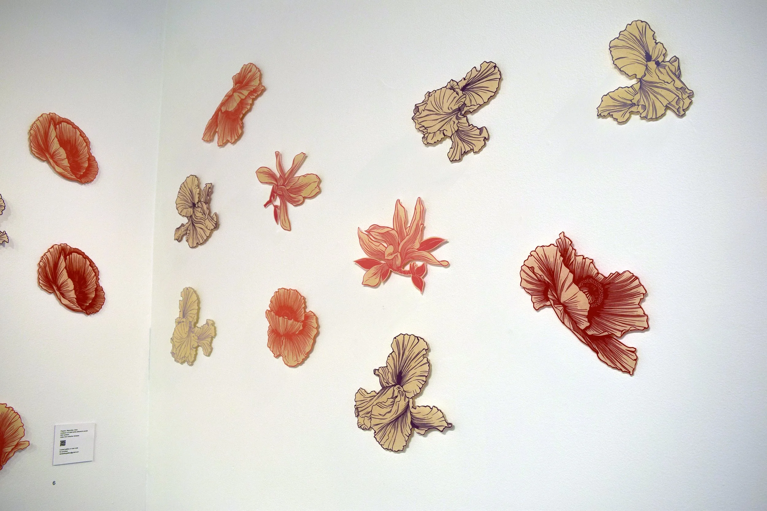 Pressed & Painted, A Floral Study
Dana Wiley Gallery, Dayton, OH